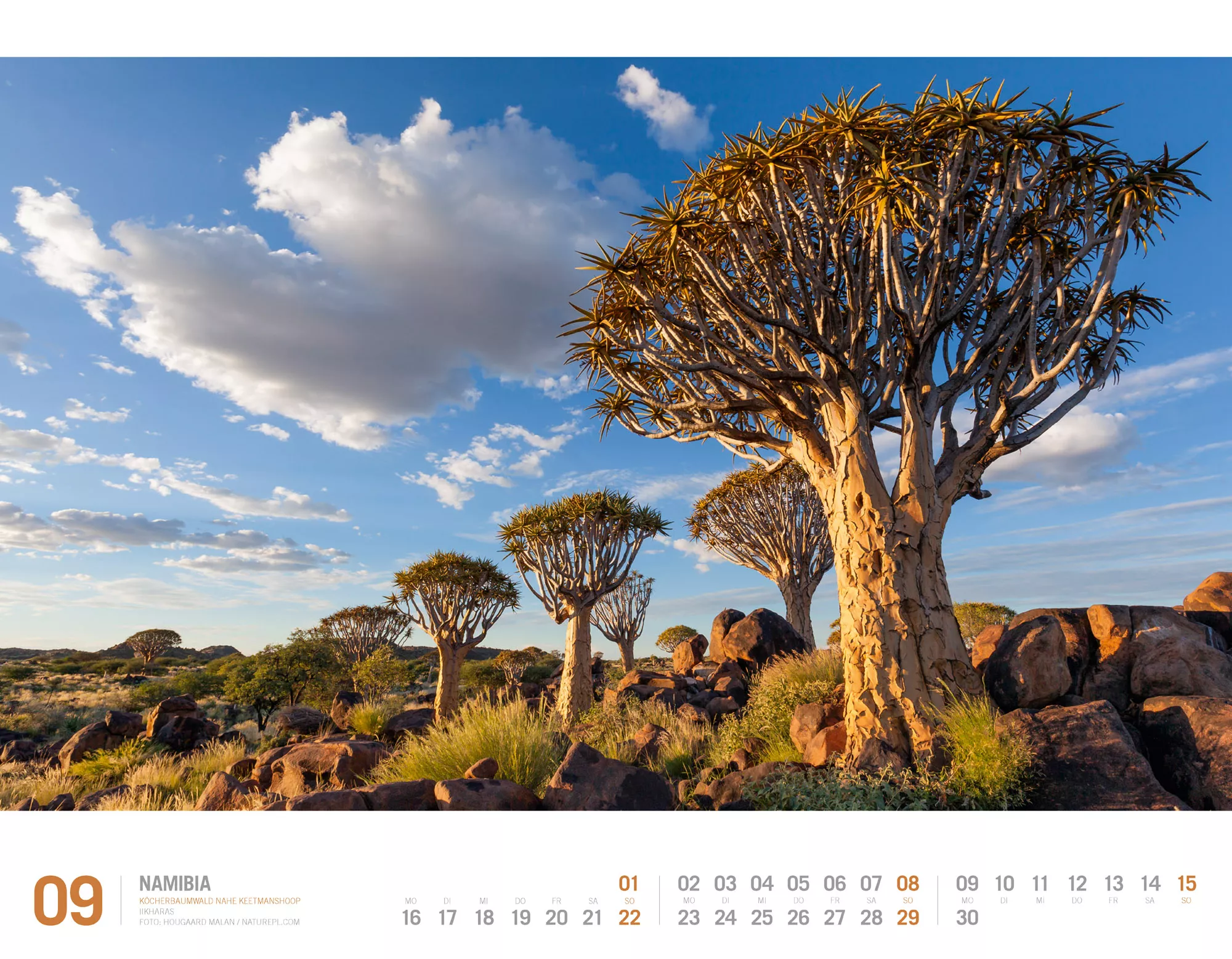Ackermann Kalender Namibia 2024 - Innenansicht 09