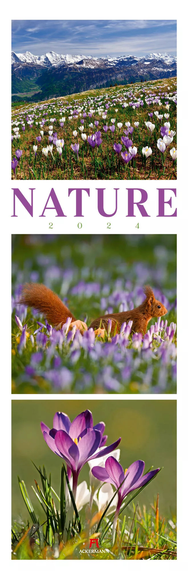 Ackermann Kalender Nature 2024 - Titelblatt