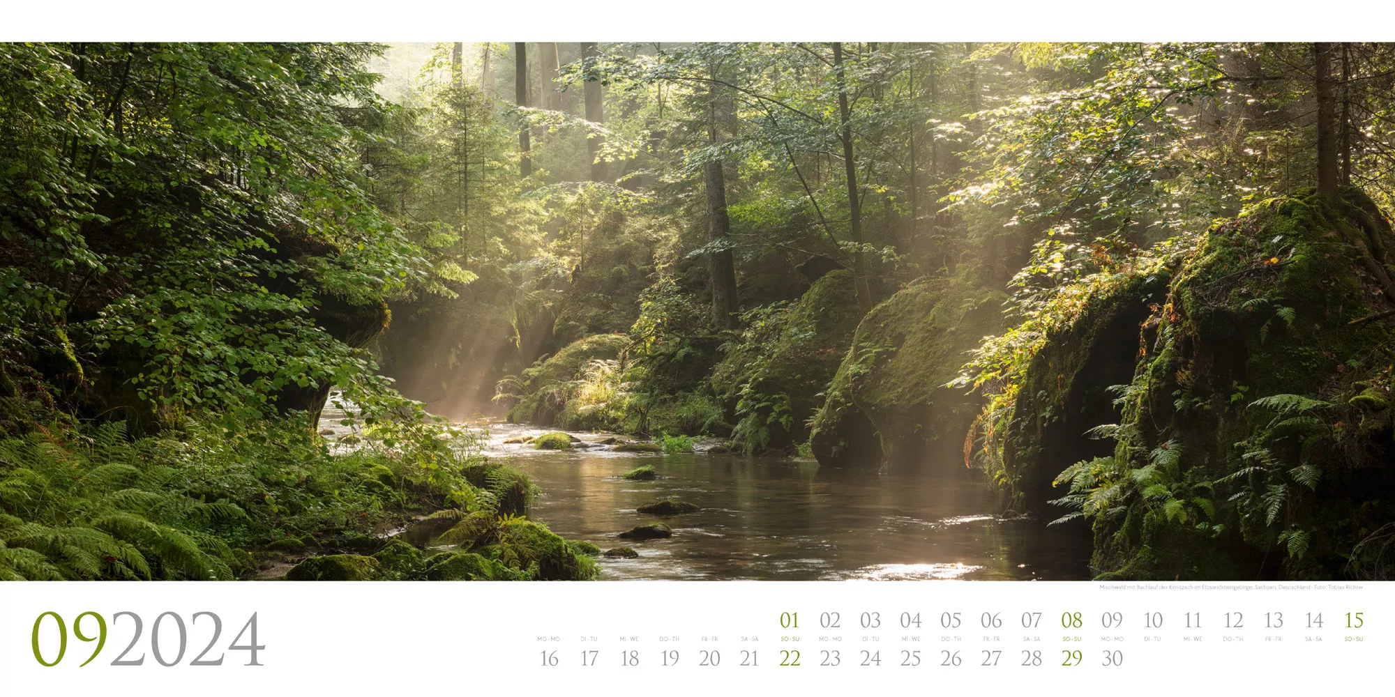Ackermann Kalender Wilde Wälder 2024 - Innenansicht 09
