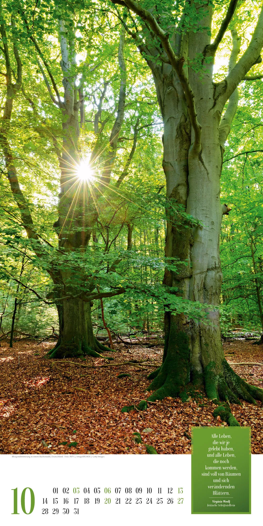Ackermann Kalender Mythos Wald 2024 - Innenansicht 10