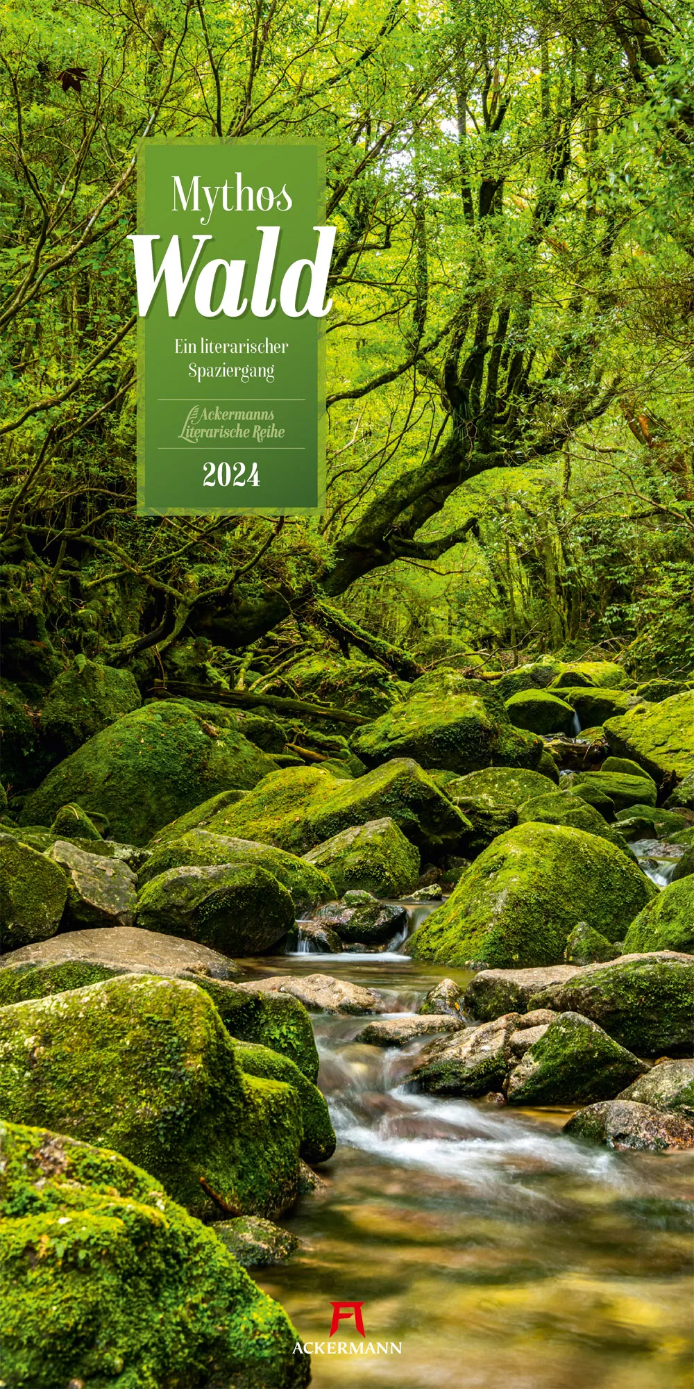 Ackermann Kalender Mythos Wald 2024 - Titelblatt