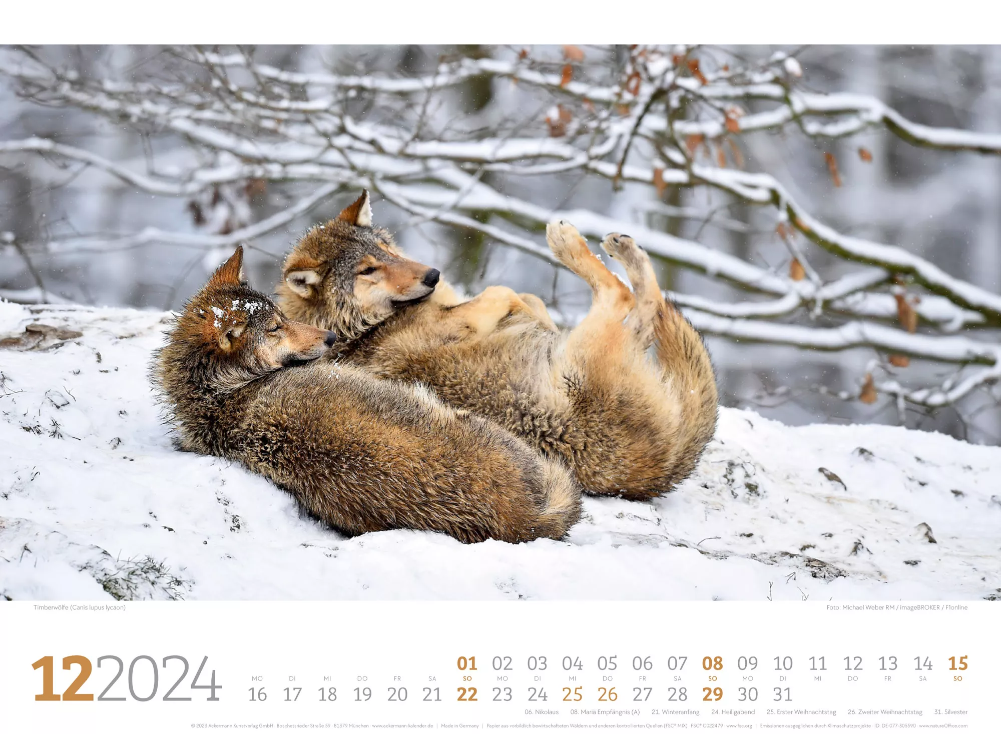 Ackermann Kalender Tierwelt Wald 2024 - Innenansicht 12
