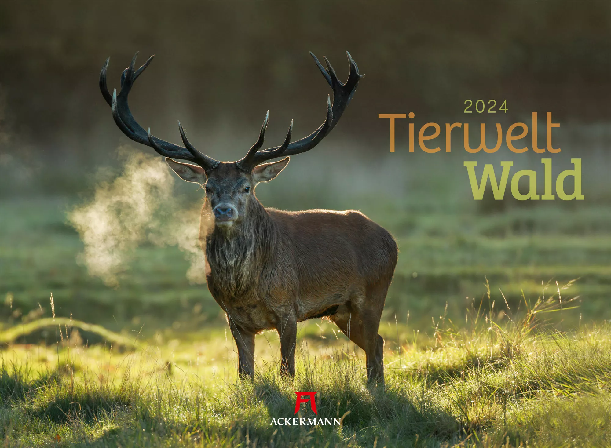 Ackermann Kalender Tierwelt Wald 2024 - Titelblatt