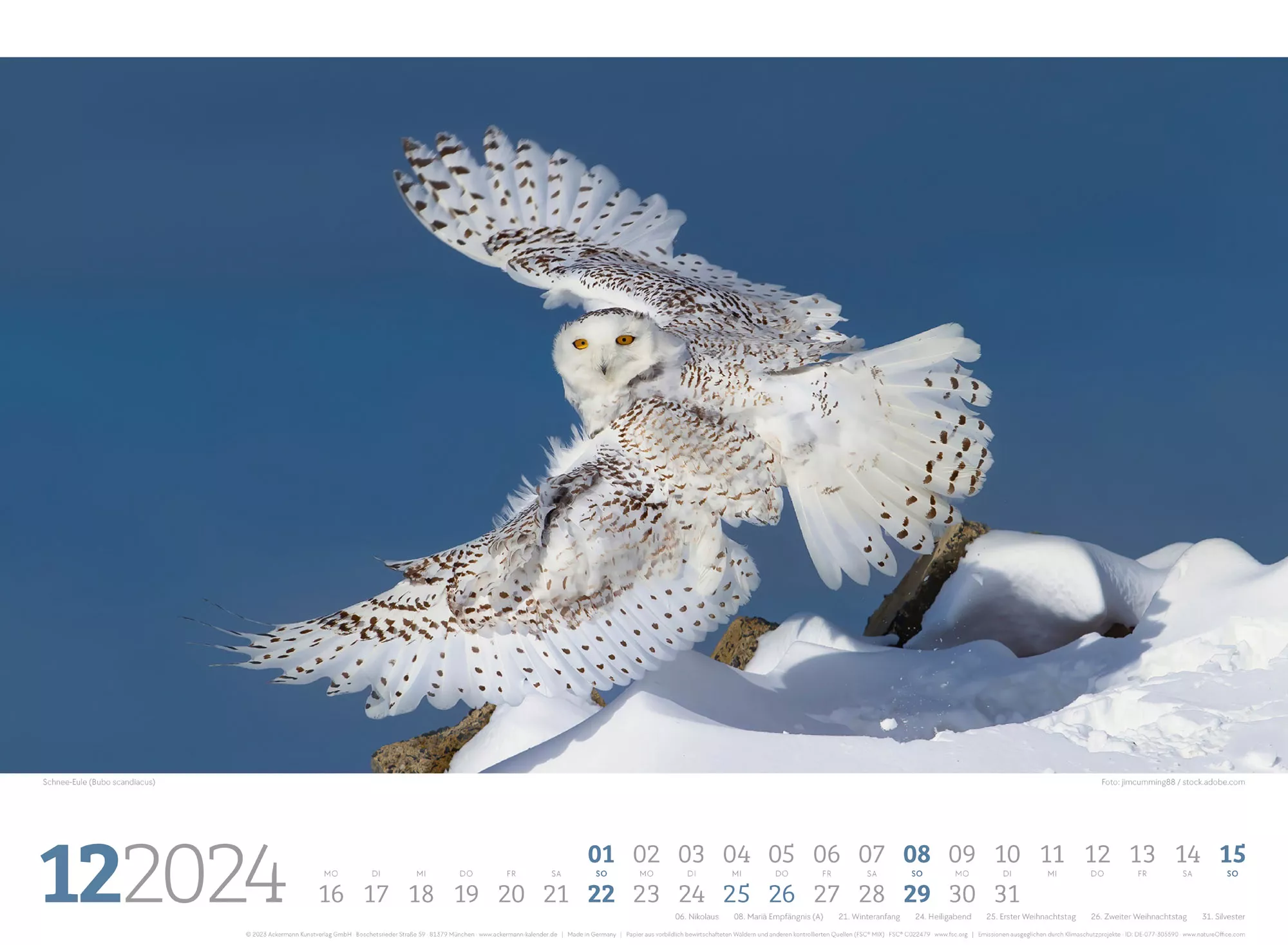 Ackermann Kalender Unsere Vogelwelt 2024 - Innenansicht 12