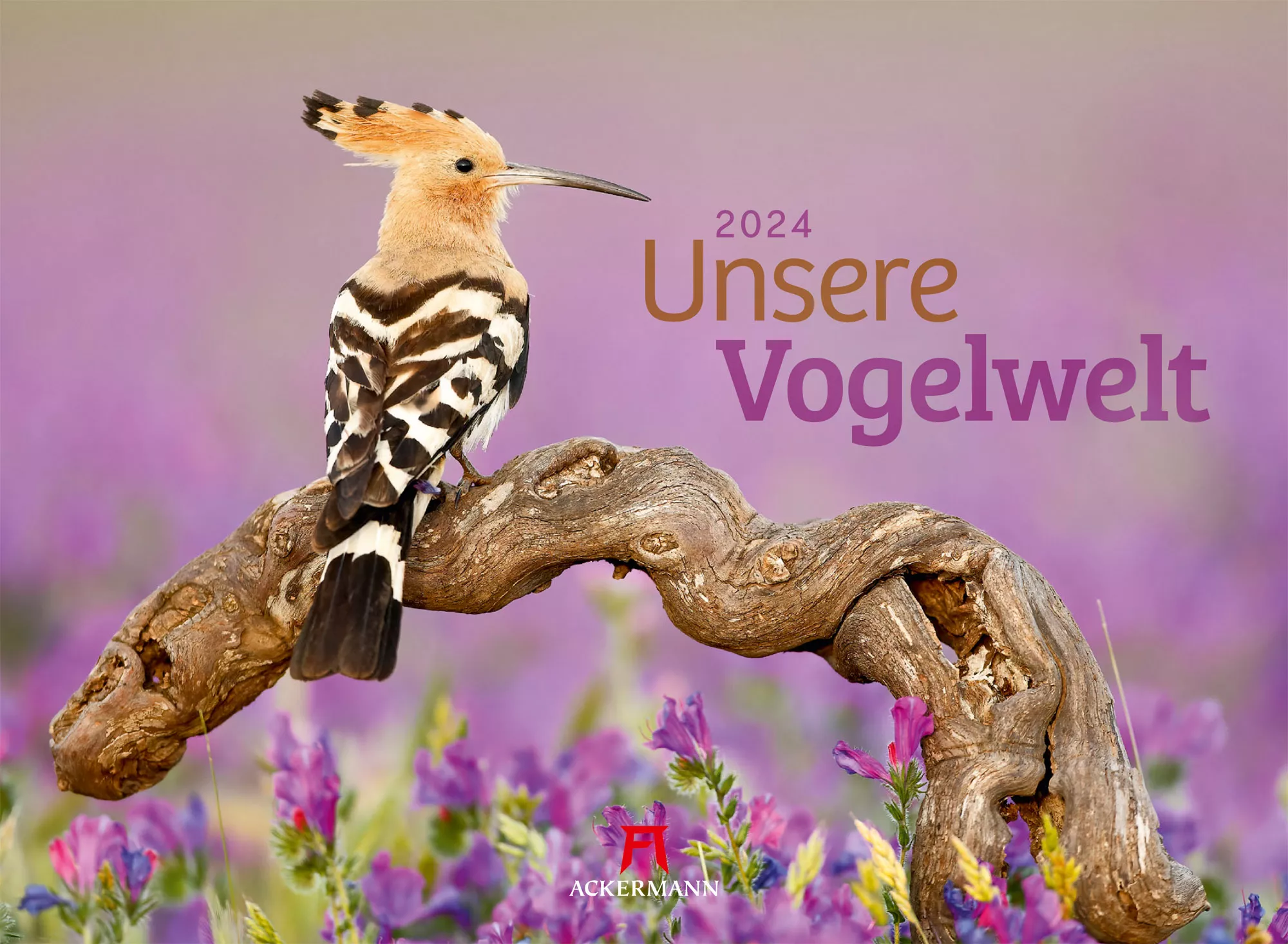 Ackermann Kalender Unsere Vogelwelt 2024 - Titelblatt