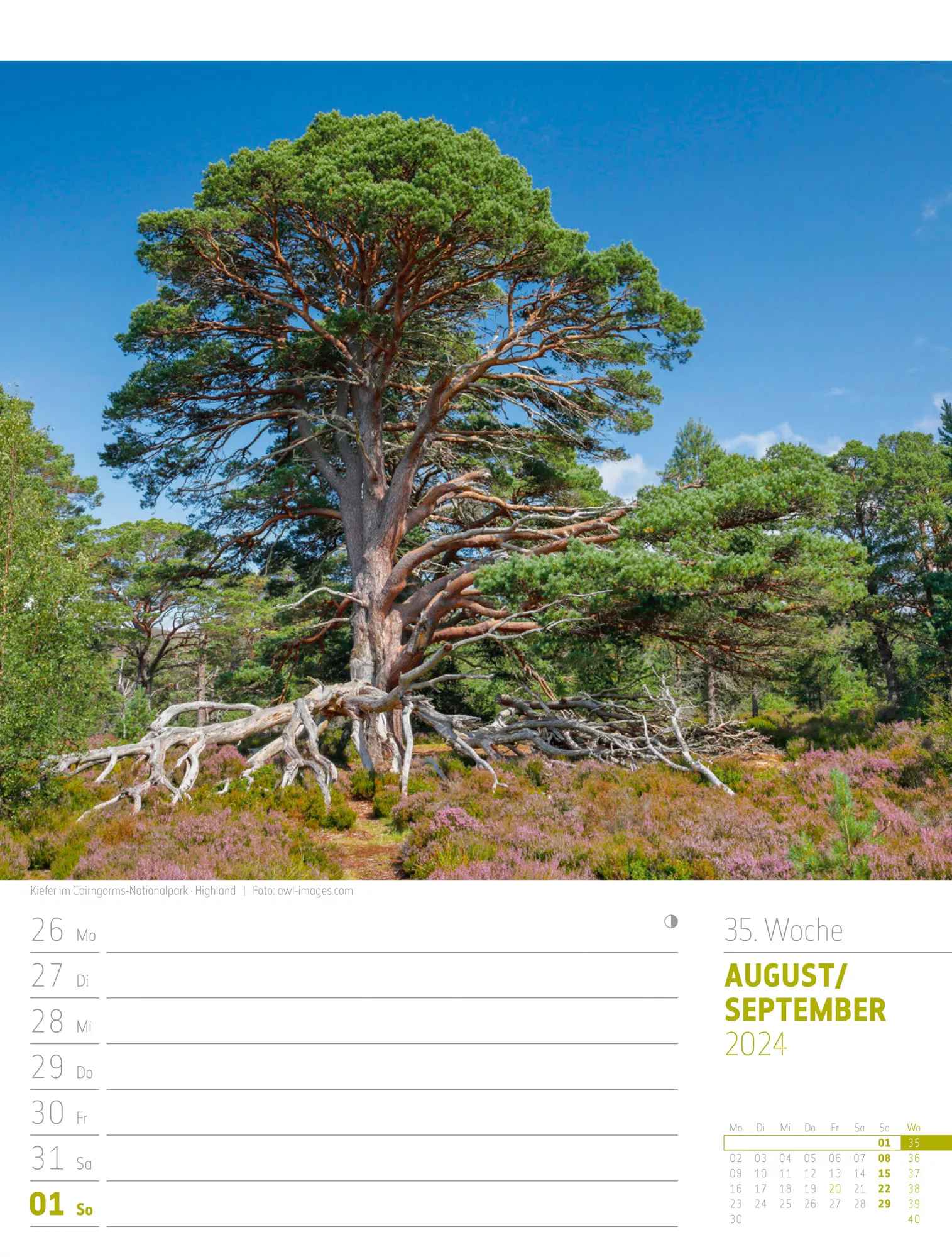 Ackermann Kalender Schottland - Wochenplaner 2024 - Innenansicht 38