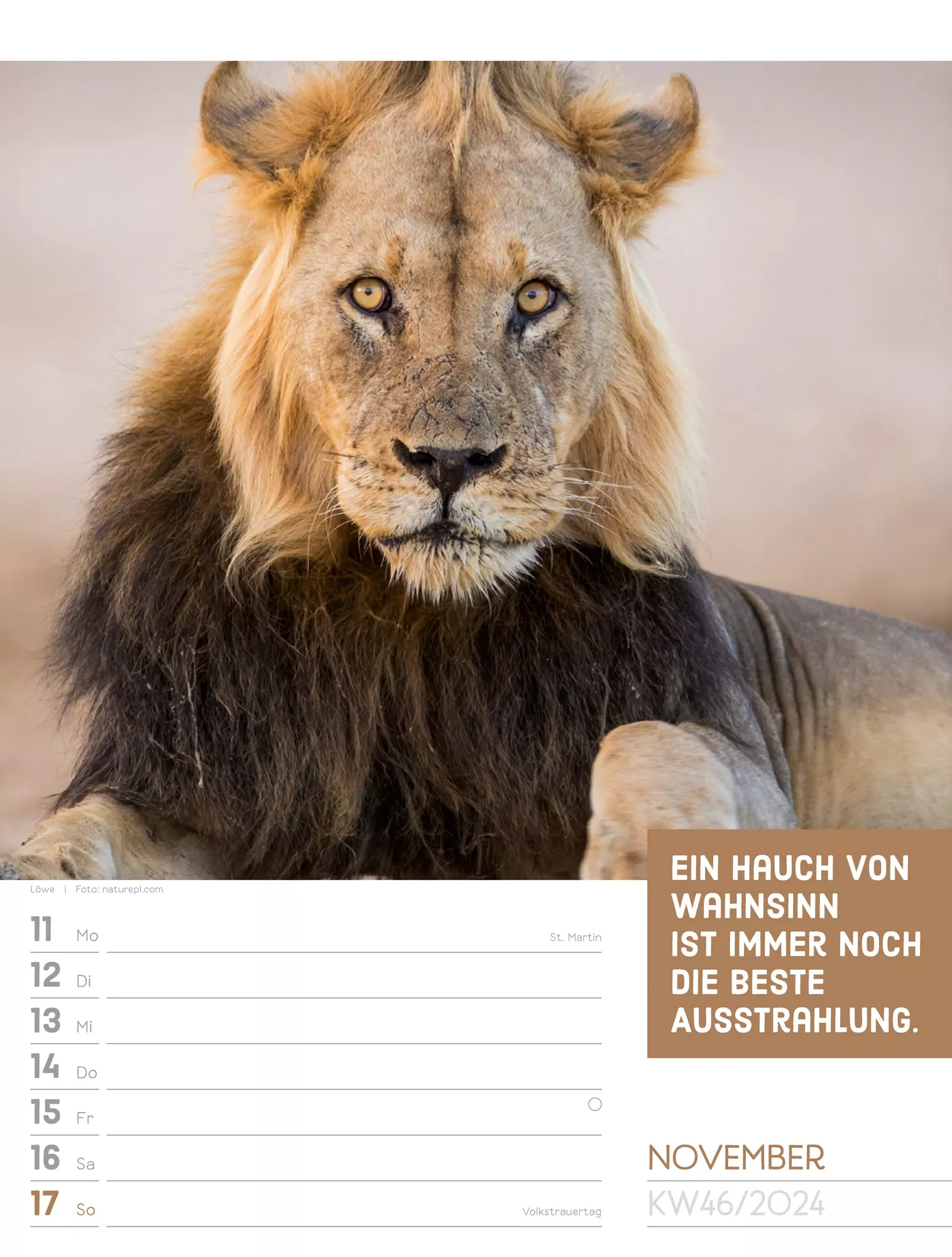 Ackermann Kalender Tierisch! - Wochenplaner 2024 - Innenansicht 49