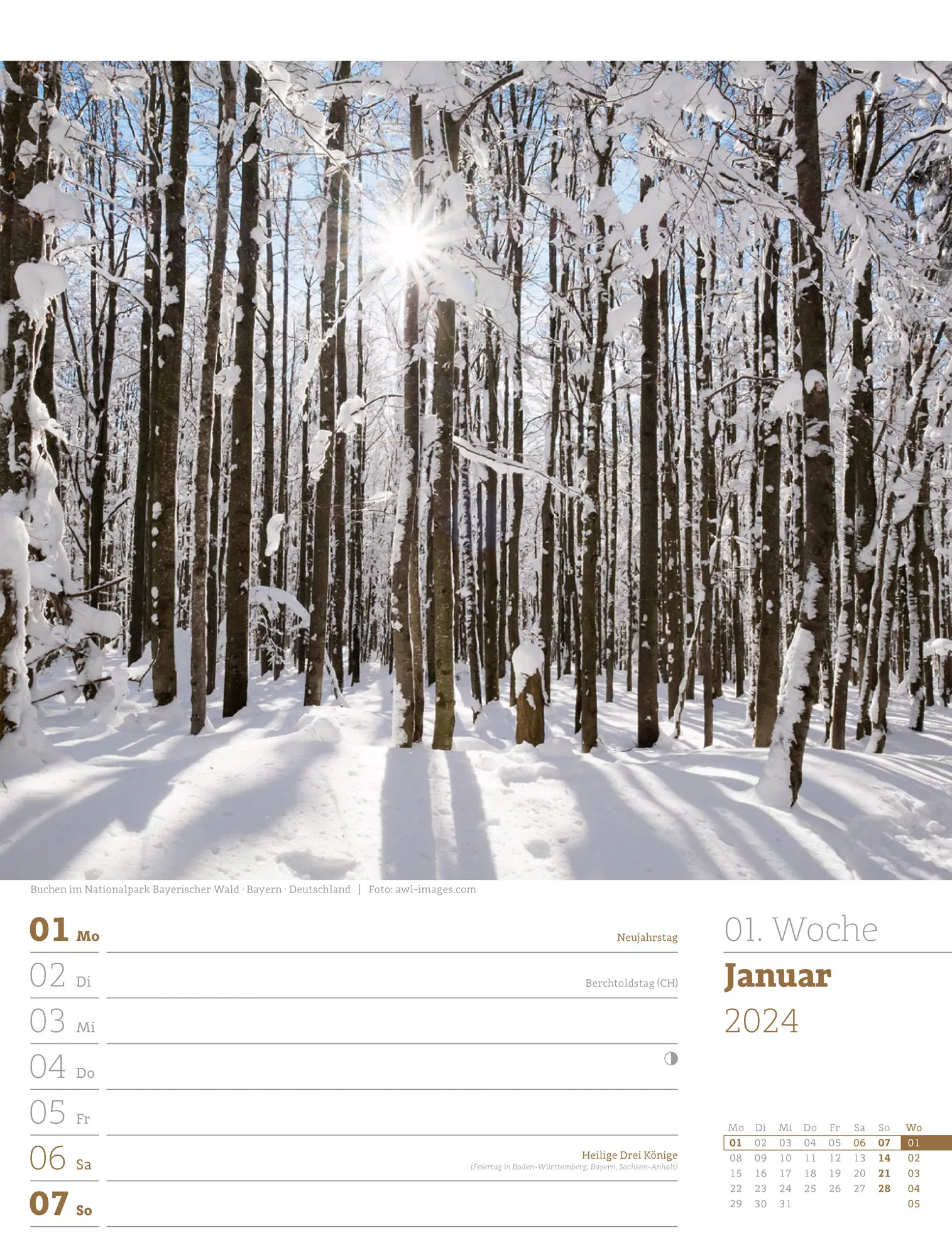 Ackermann Kalender Unser Wald - Wochenplaner 2024 - Innenansicht 01
