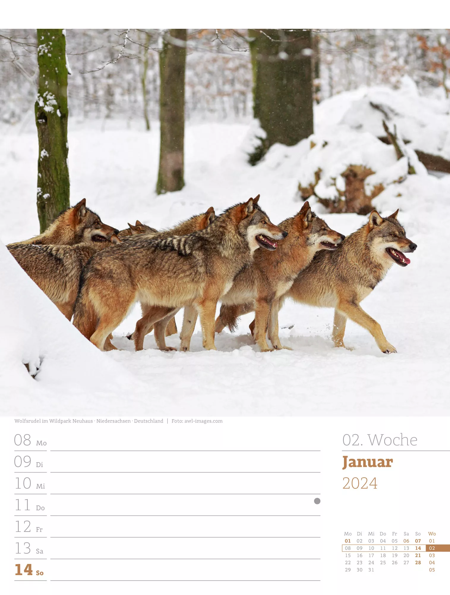 Ackermann Kalender Unser Wald - Wochenplaner 2024 - Innenansicht 03