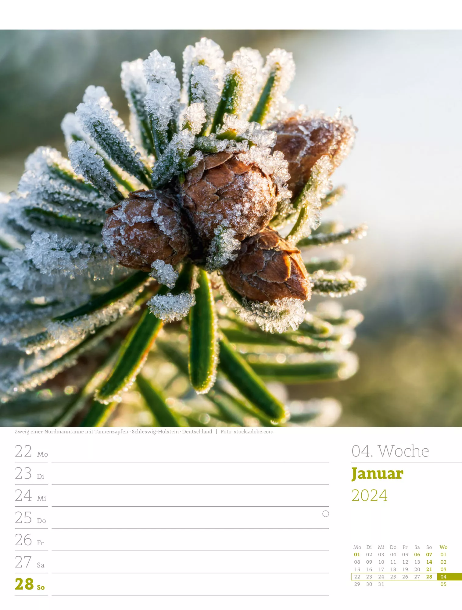 Ackermann Kalender Unser Wald - Wochenplaner 2024 - Innenansicht 07