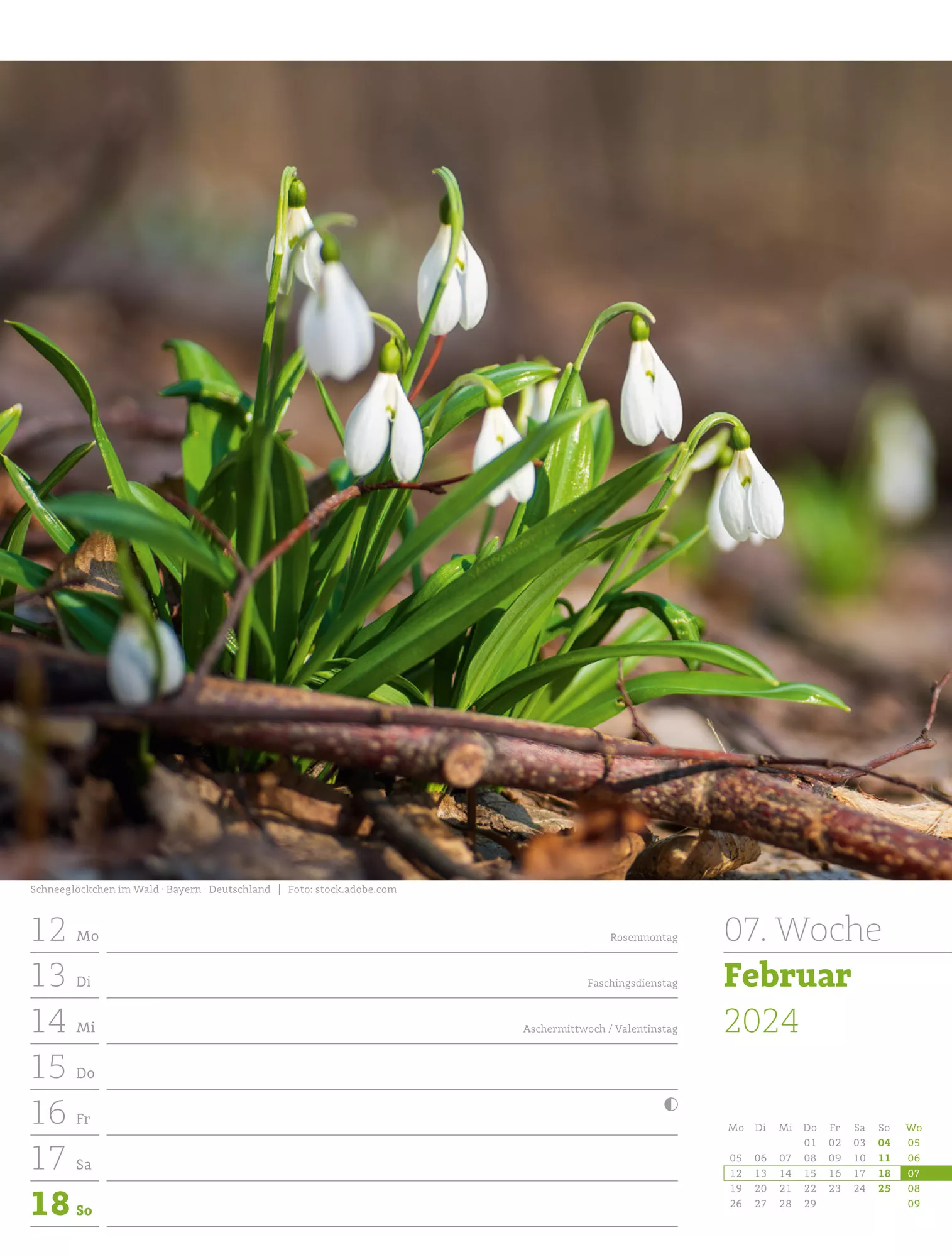 Ackermann Kalender Unser Wald - Wochenplaner 2024 - Innenansicht 10