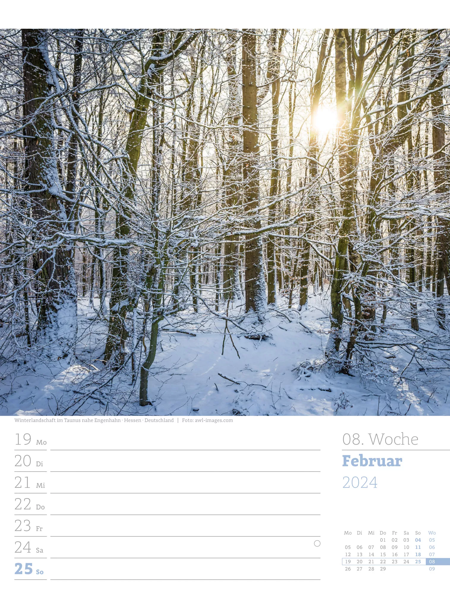 Ackermann Kalender Unser Wald - Wochenplaner 2024 - Innenansicht 11