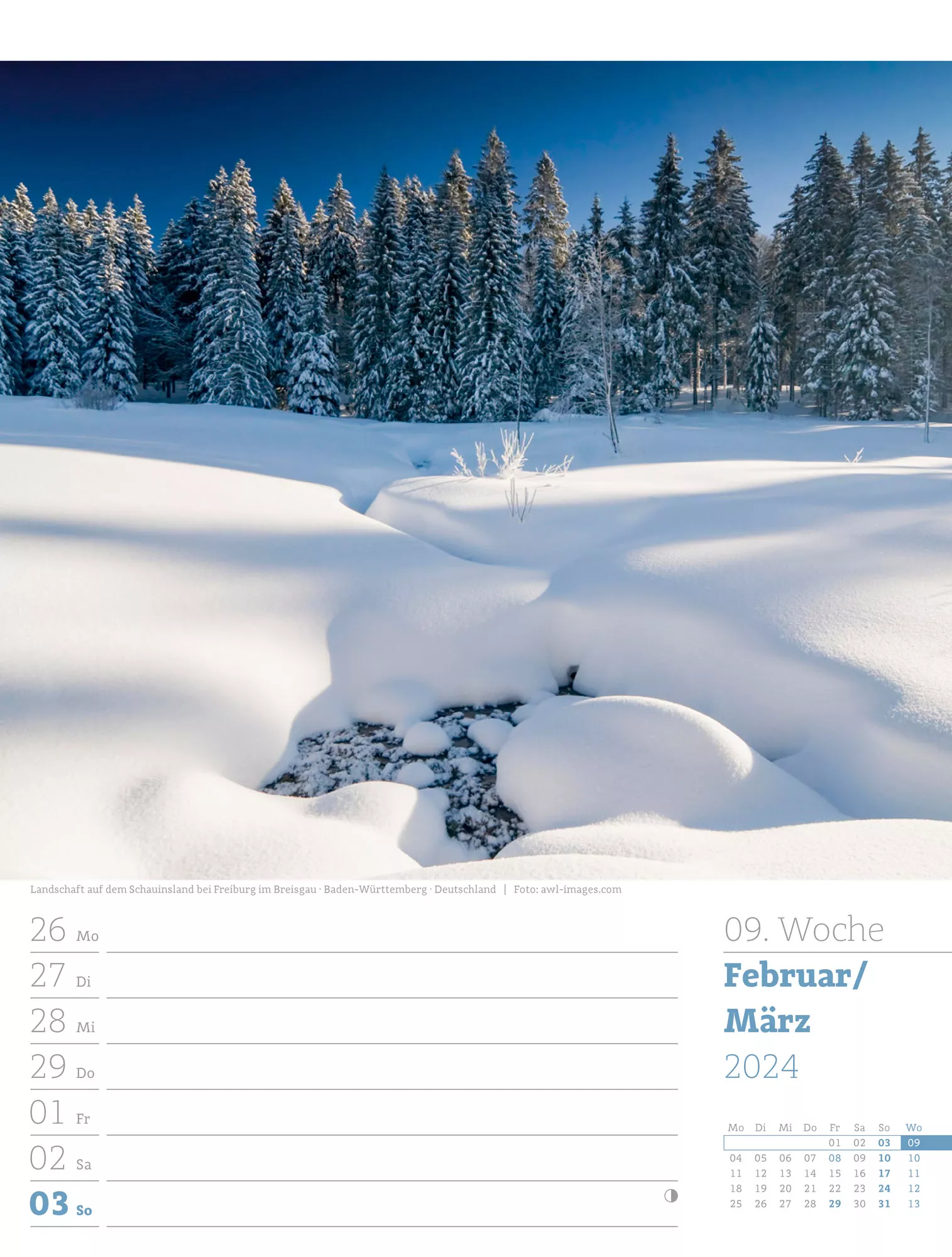 Ackermann Kalender Unser Wald - Wochenplaner 2024 - Innenansicht 12