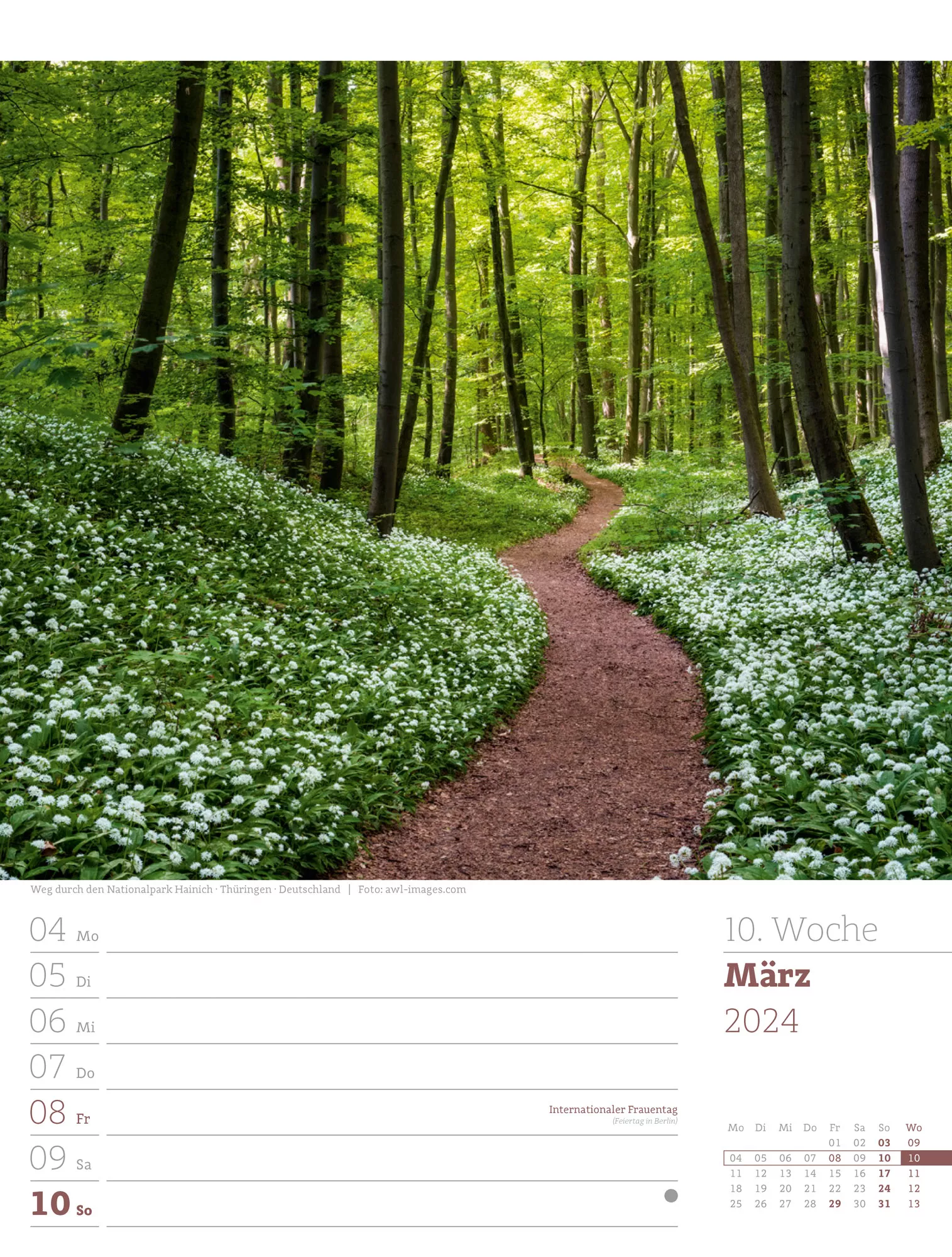 Ackermann Kalender Unser Wald - Wochenplaner 2024 - Innenansicht 13