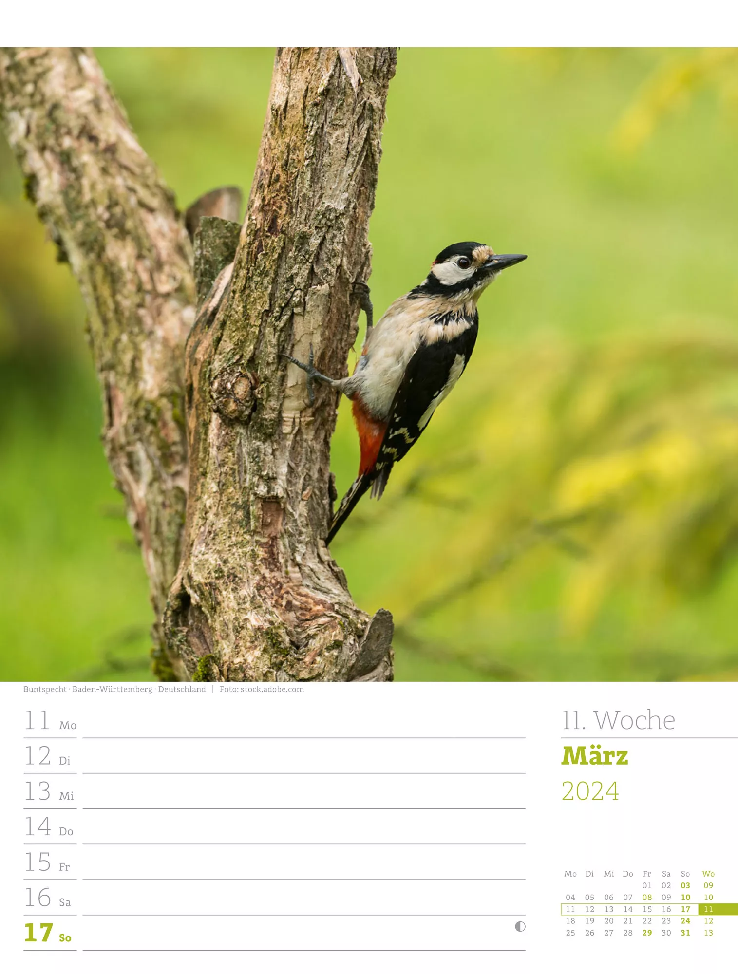 Ackermann Kalender Unser Wald - Wochenplaner 2024 - Innenansicht 14