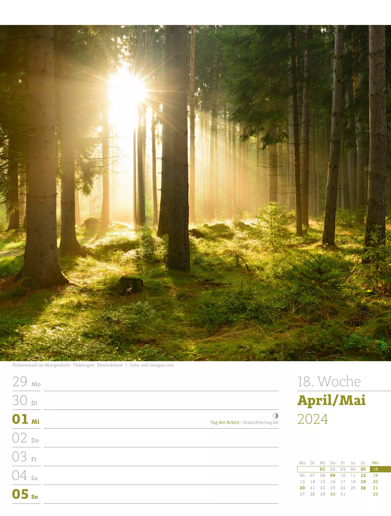 Ackermann Kalender Unser Wald - Wochenplaner 2024 - Innenansicht 21