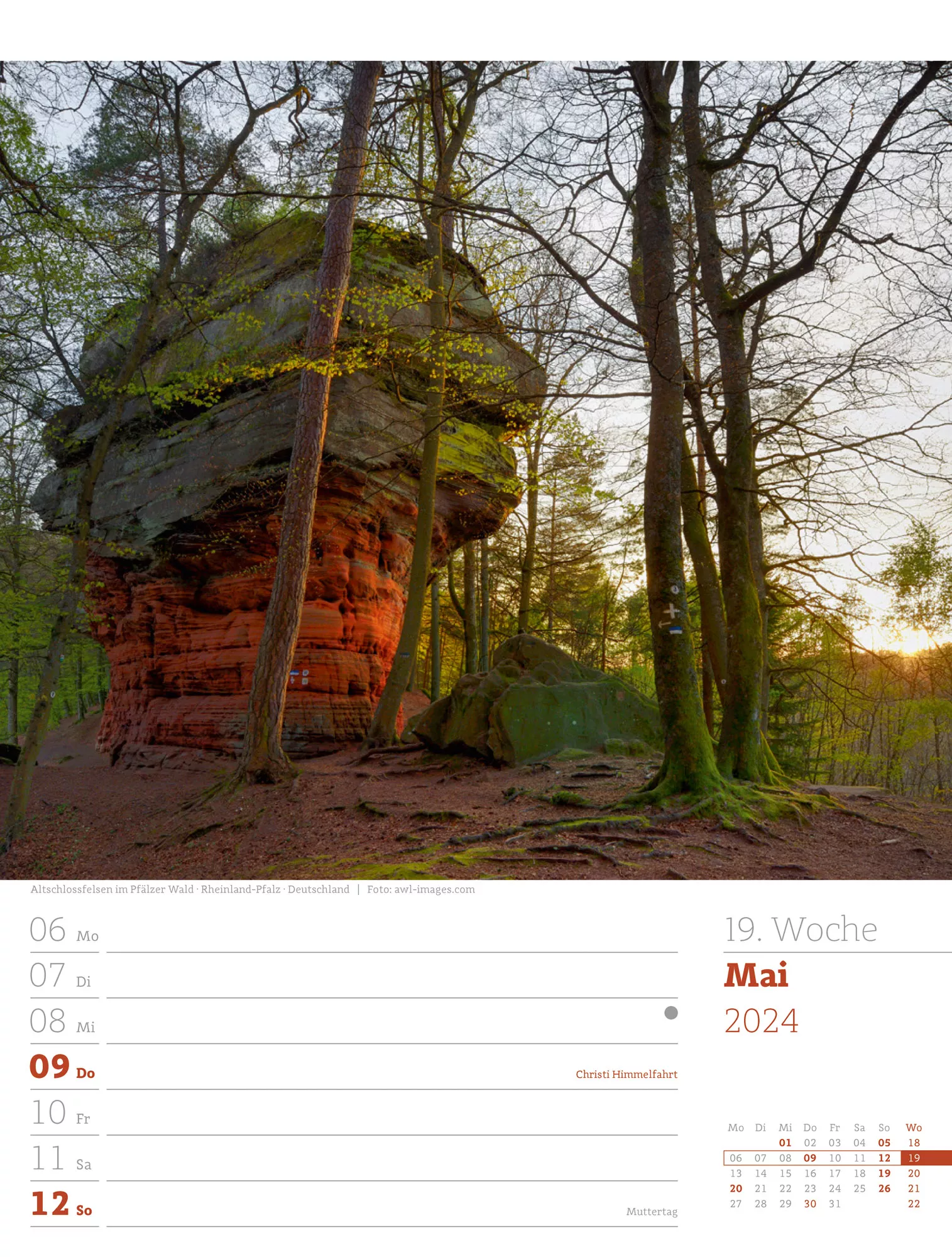 Ackermann Kalender Unser Wald - Wochenplaner 2024 - Innenansicht 22
