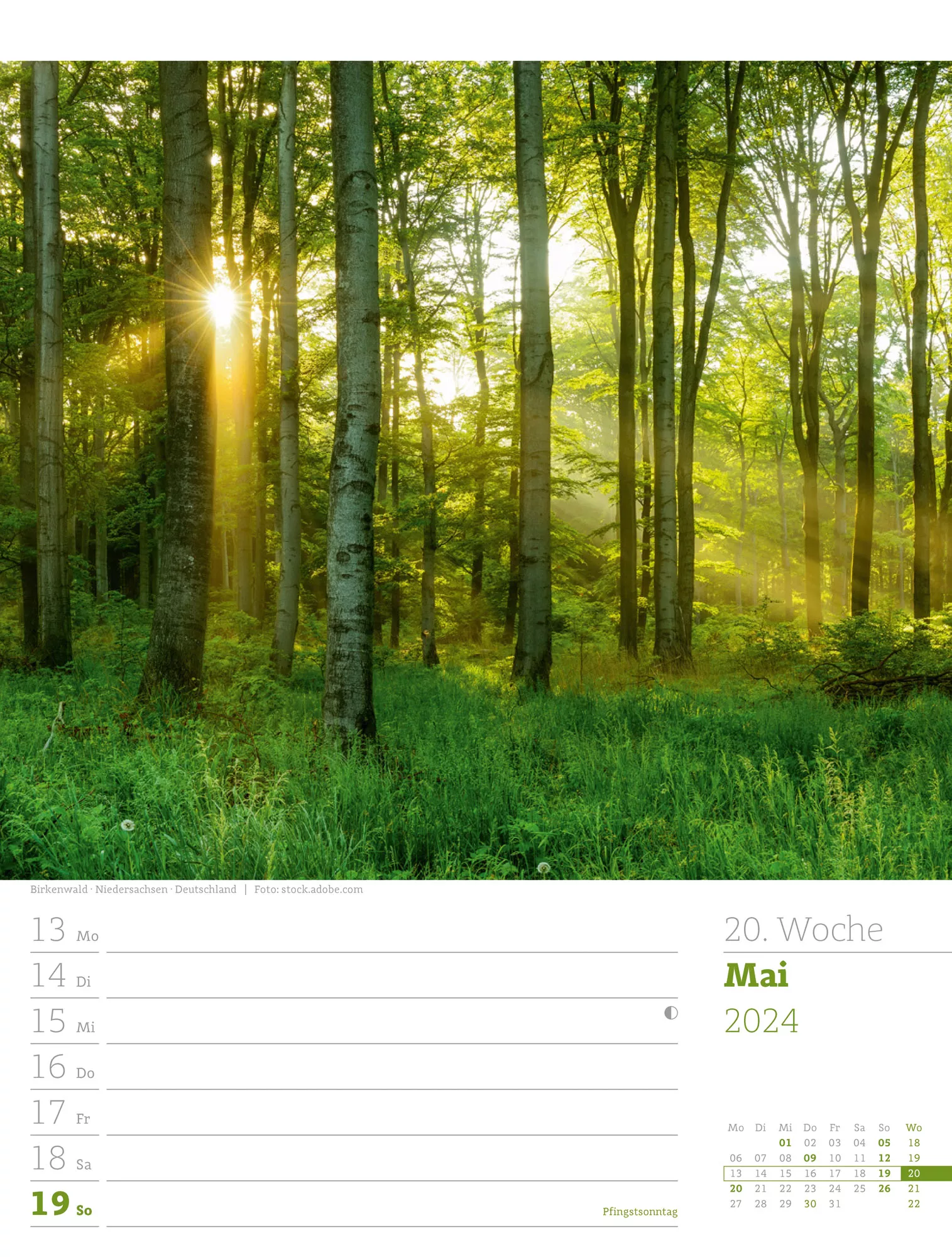 Ackermann Kalender Unser Wald - Wochenplaner 2024 - Innenansicht 23