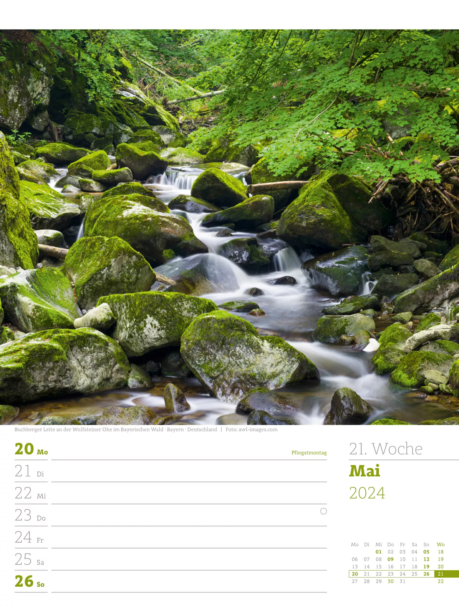 Ackermann Kalender Unser Wald - Wochenplaner 2024 - Innenansicht 24