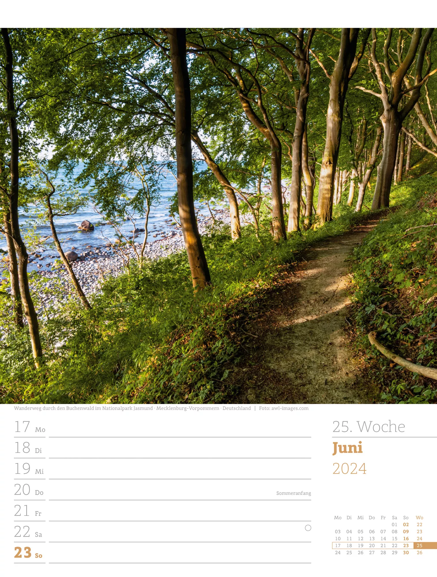 Ackermann Kalender Unser Wald - Wochenplaner 2024 - Innenansicht 28