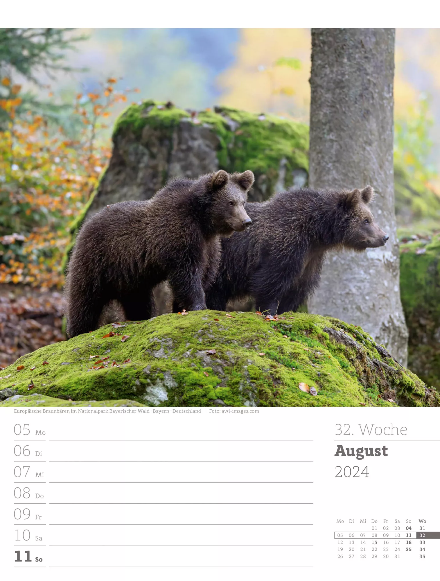 Ackermann Kalender Unser Wald - Wochenplaner 2024 - Innenansicht 35