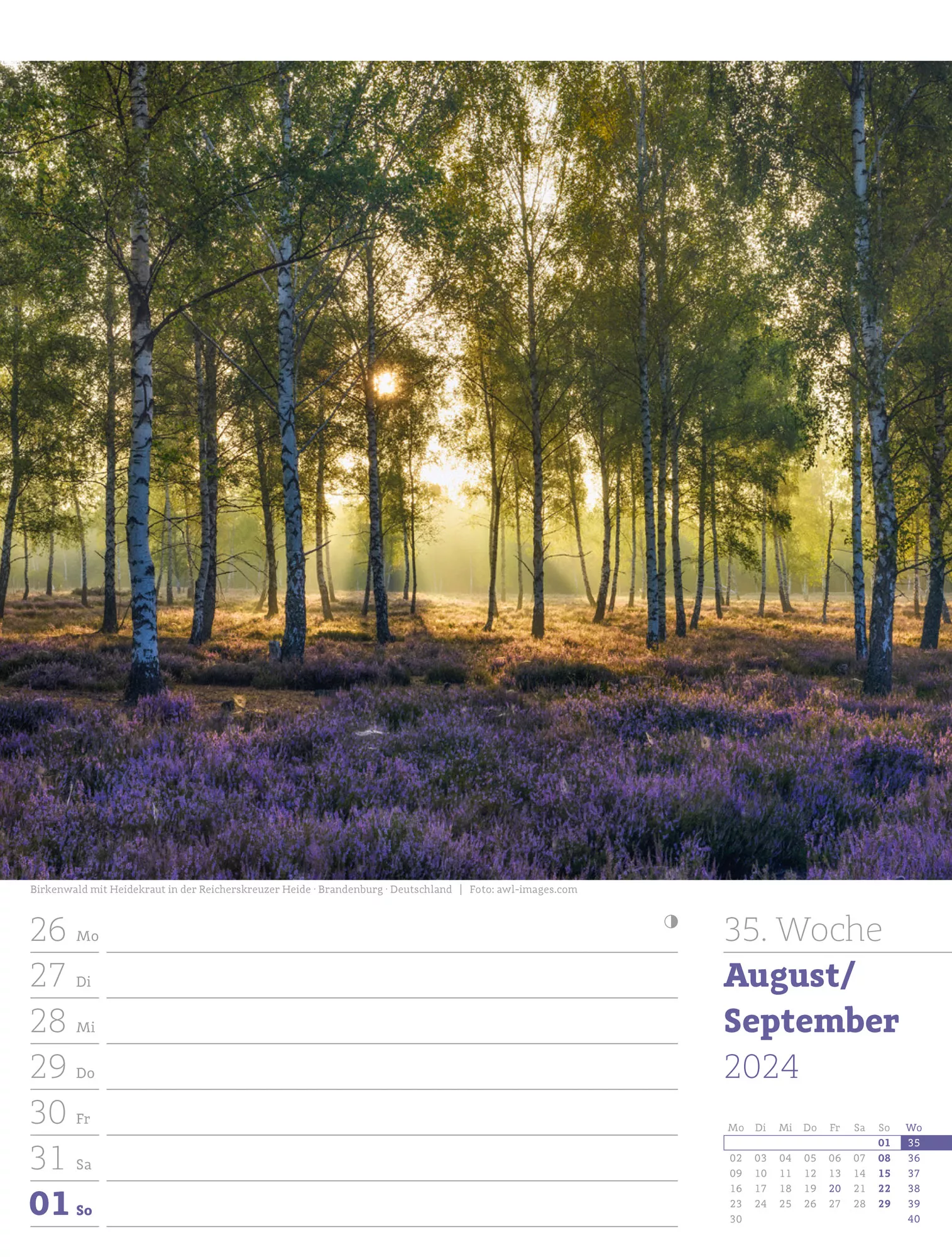 Ackermann Kalender Unser Wald - Wochenplaner 2024 - Innenansicht 38