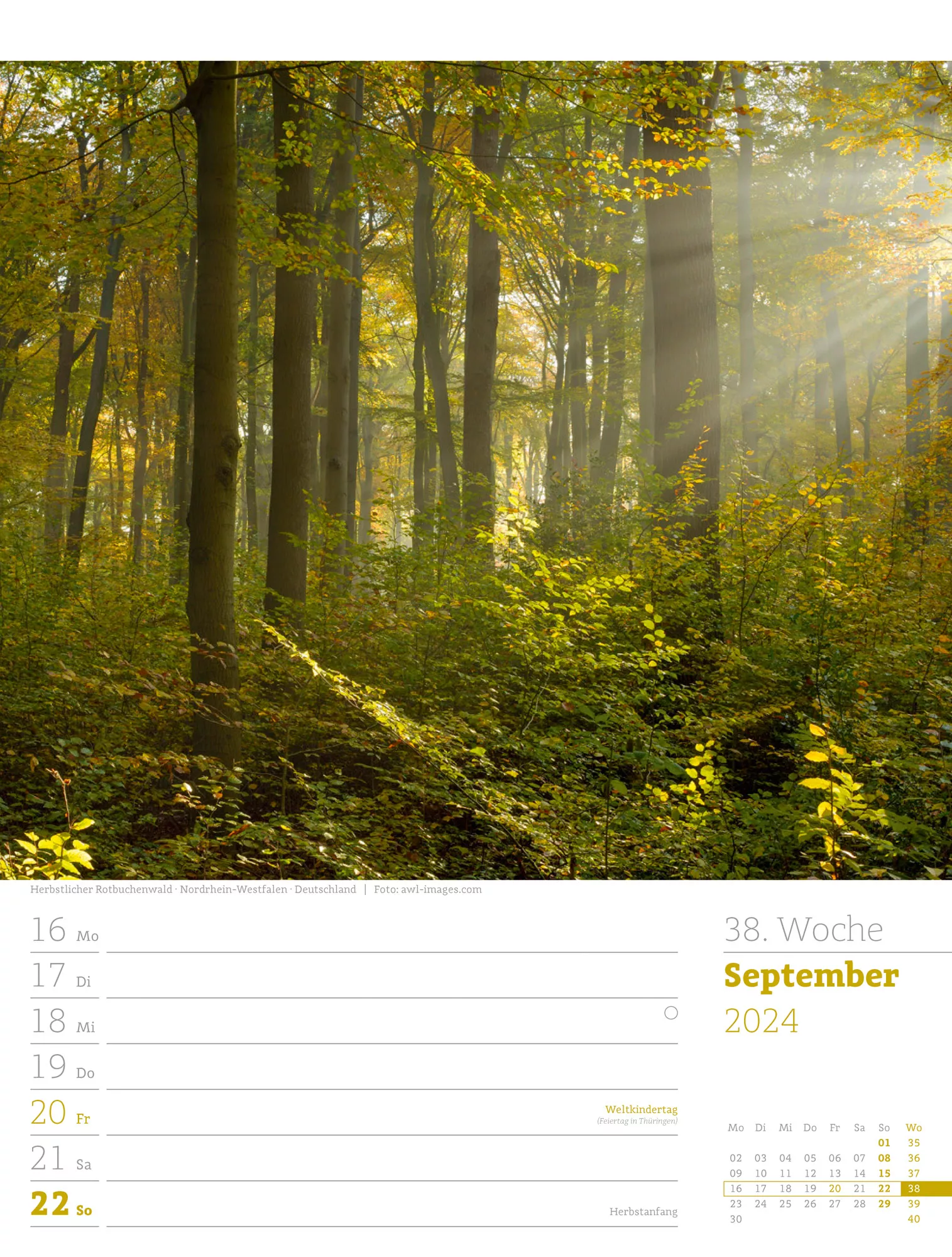 Ackermann Kalender Unser Wald - Wochenplaner 2024 - Innenansicht 41