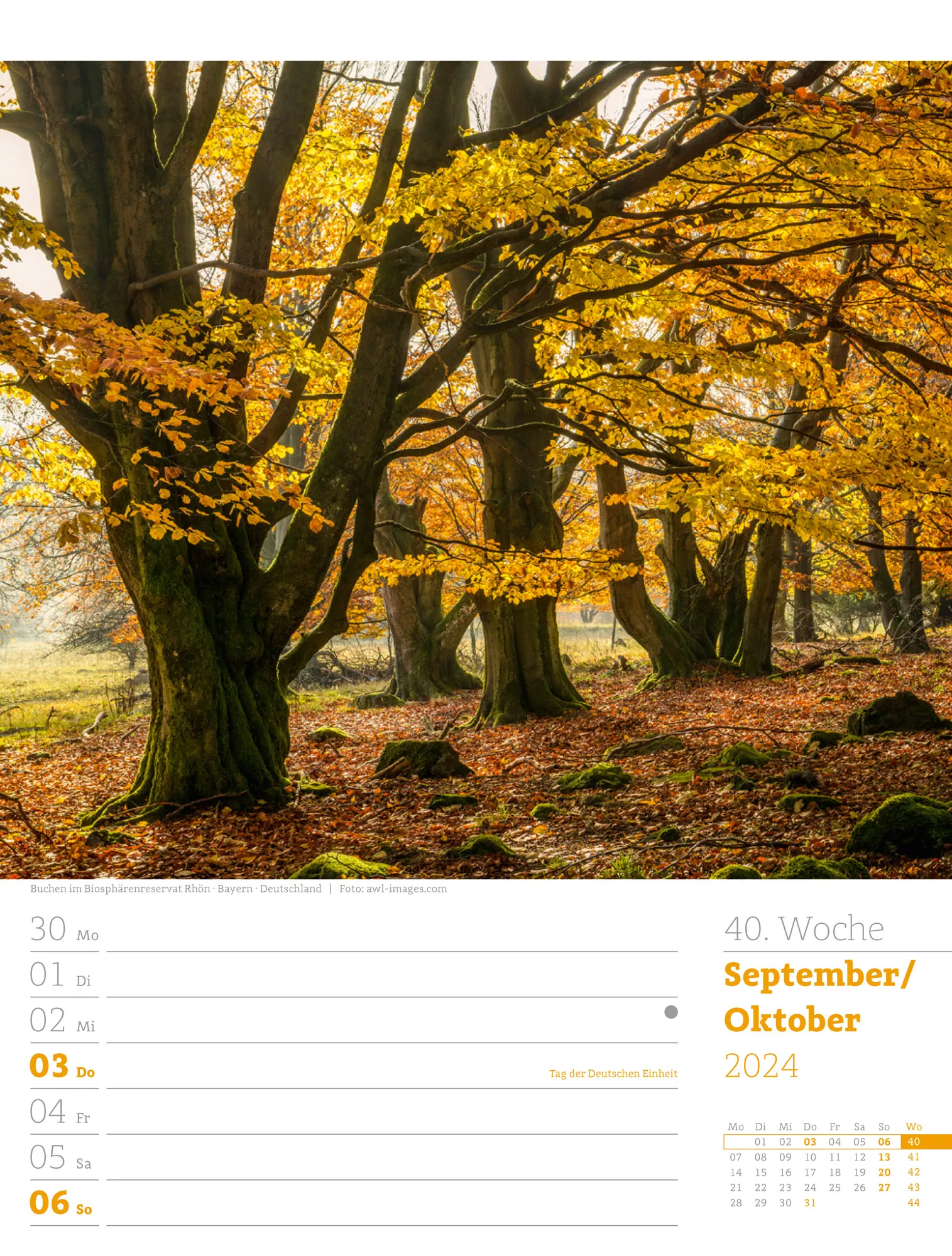 Ackermann Kalender Unser Wald - Wochenplaner 2024 - Innenansicht 43