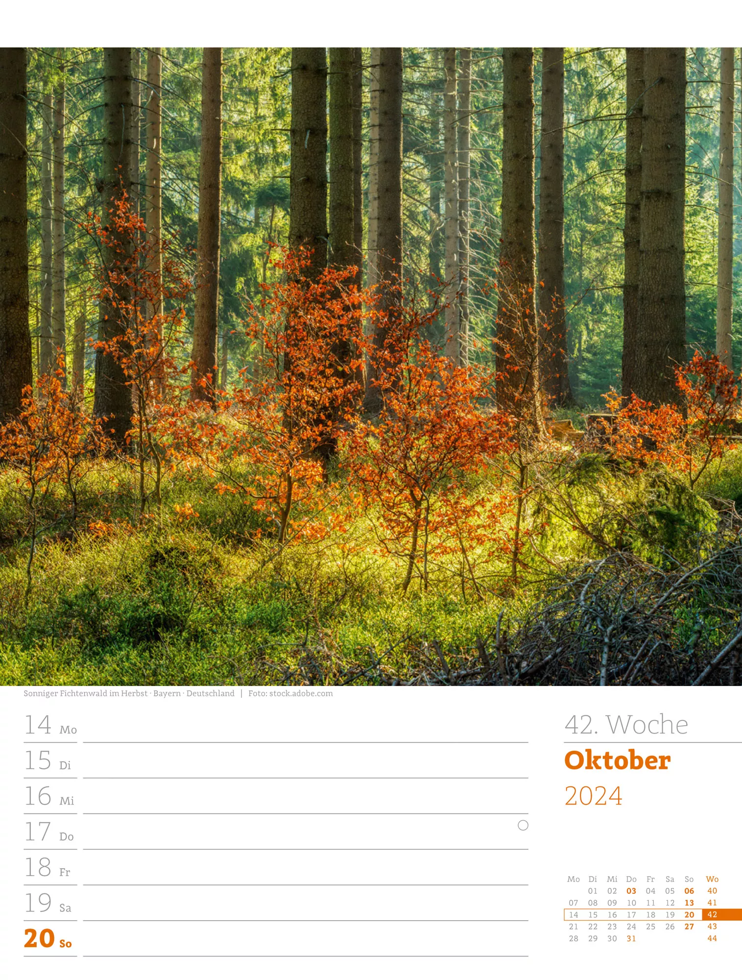 Ackermann Kalender Unser Wald - Wochenplaner 2024 - Innenansicht 45