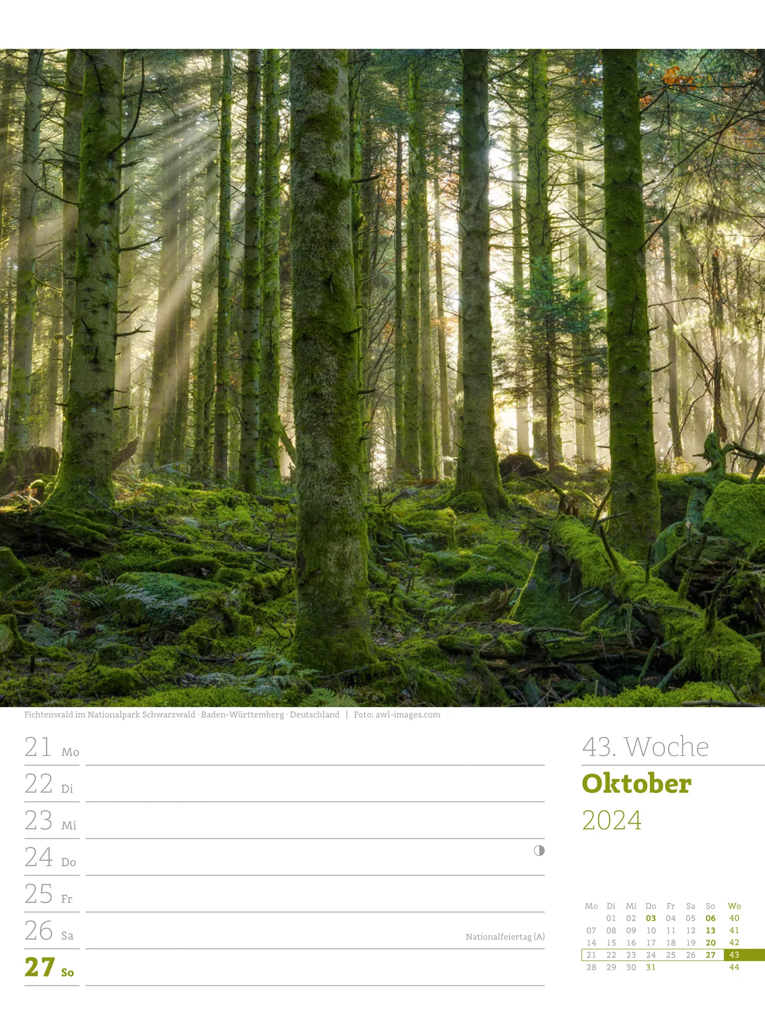 Ackermann Kalender Unser Wald - Wochenplaner 2024 - Innenansicht 46
