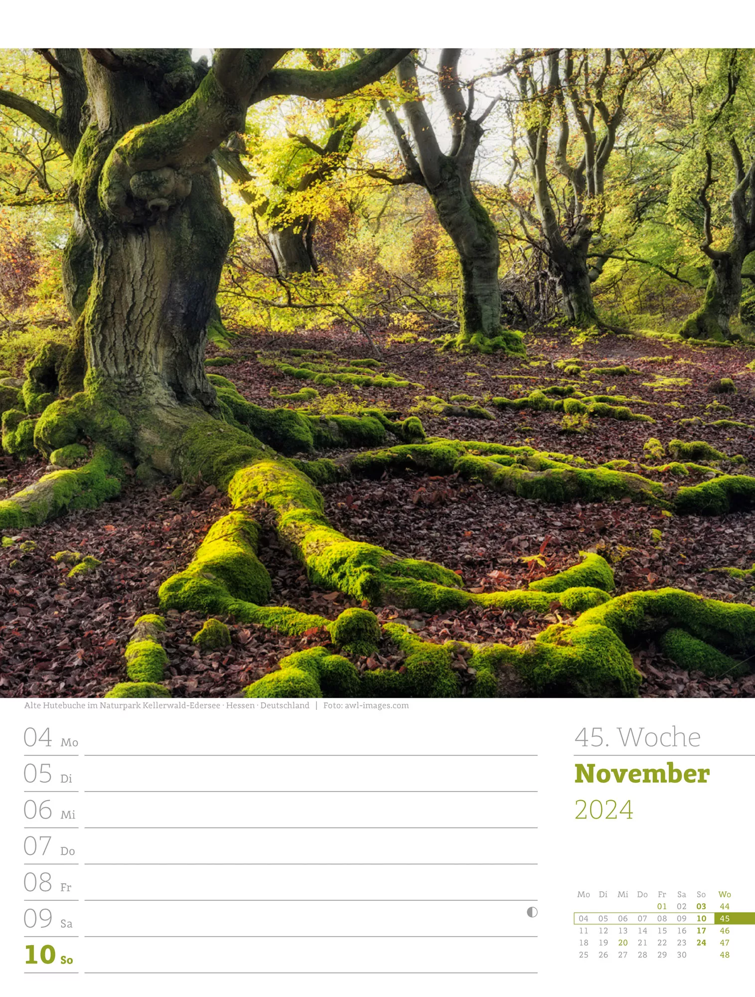 Ackermann Kalender Unser Wald - Wochenplaner 2024 - Innenansicht 48