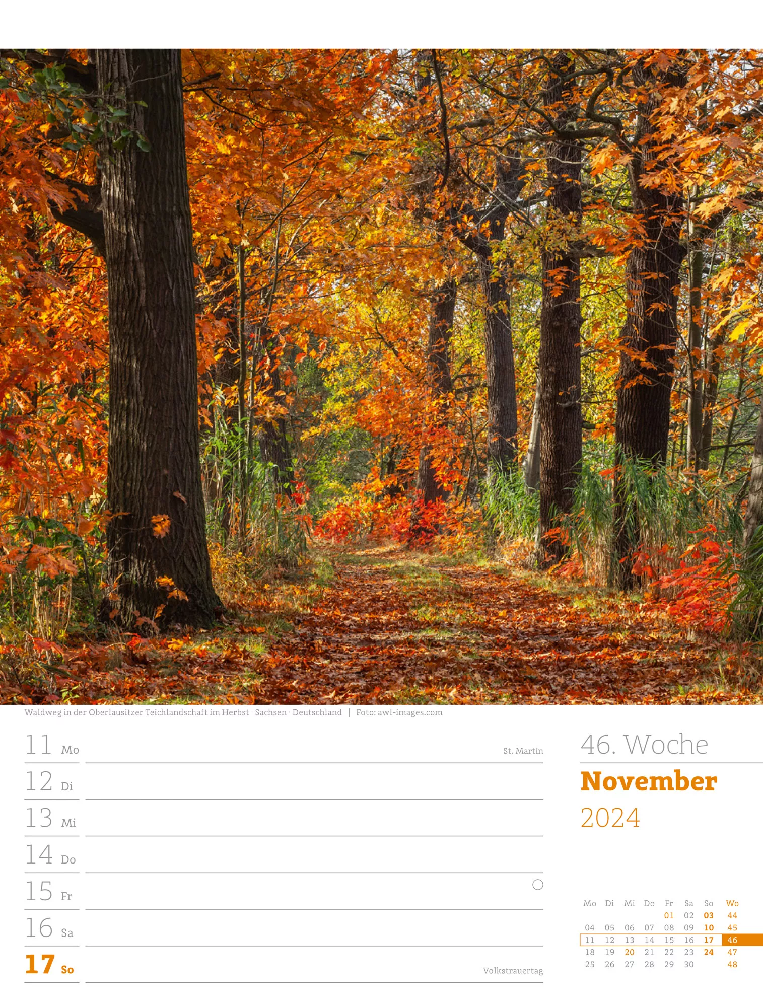 Ackermann Kalender Unser Wald - Wochenplaner 2024 - Innenansicht 49