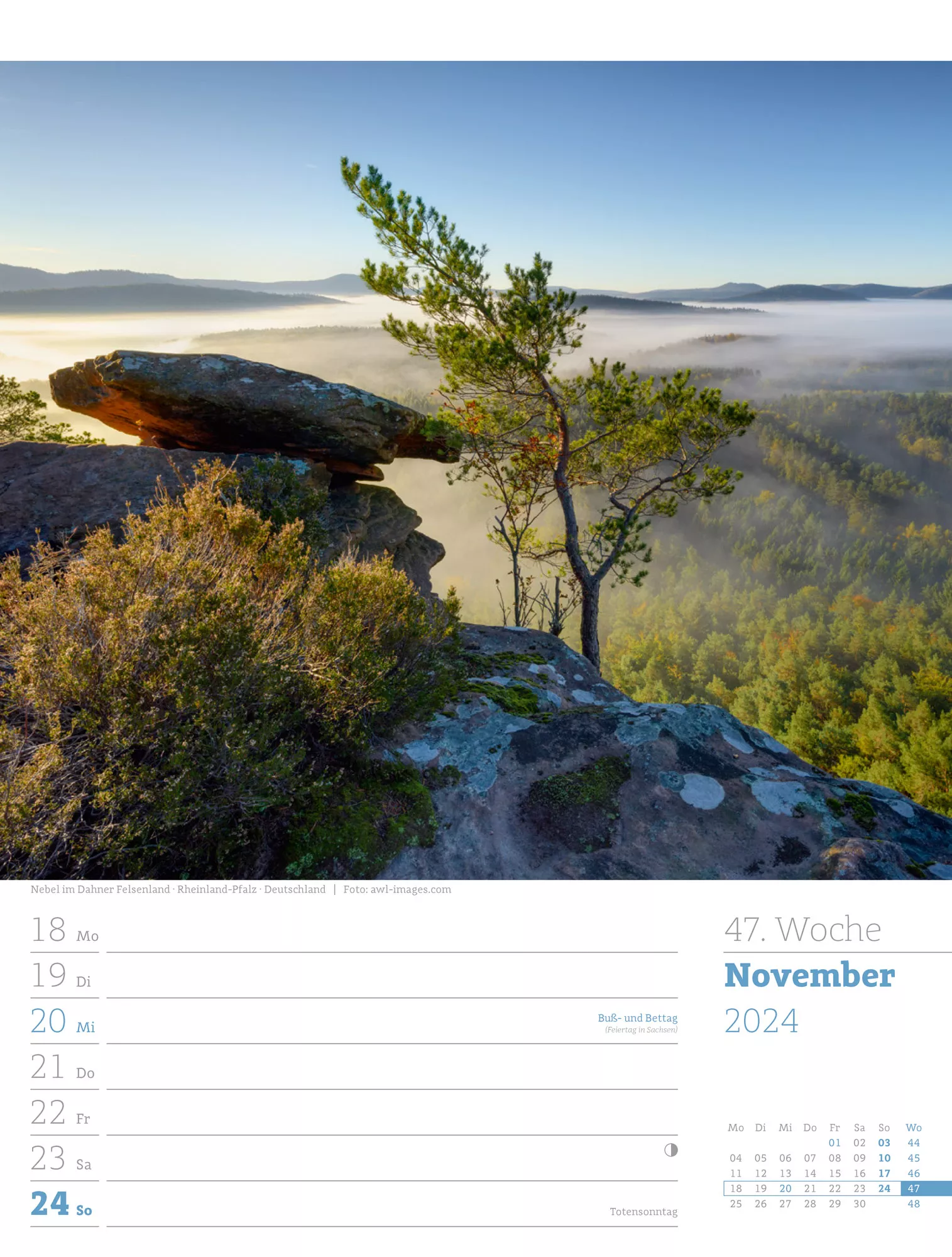 Ackermann Kalender Unser Wald - Wochenplaner 2024 - Innenansicht 50