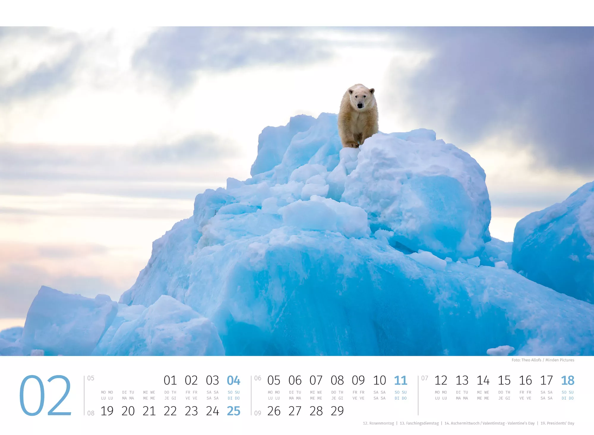 Ackermann Kalender Eisbären 2024 - Innenansicht 02