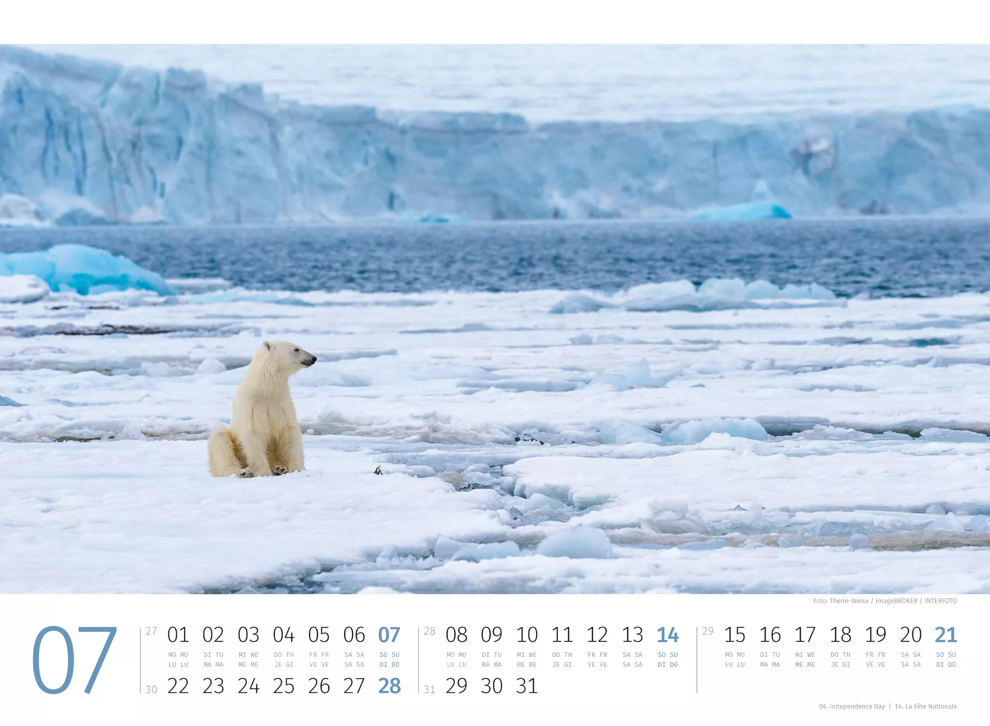 Ackermann Kalender Eisbären 2024 - Innenansicht 07