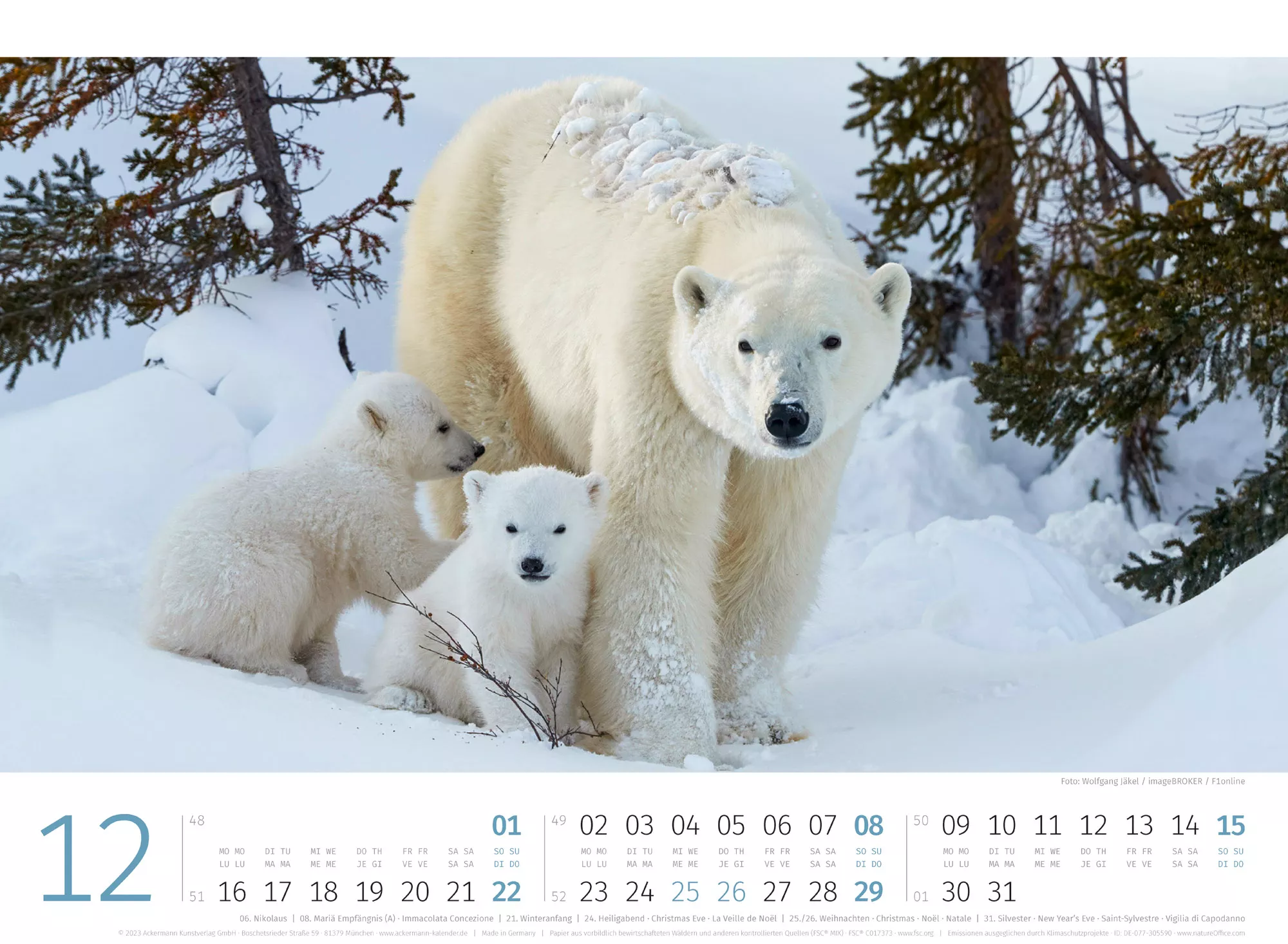 Ackermann Kalender Eisbären 2024 - Innenansicht 12