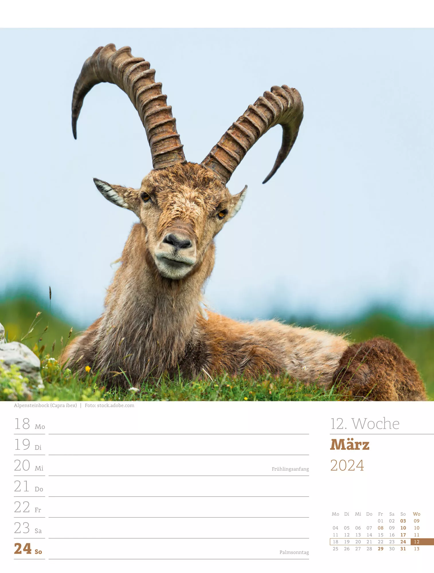 Ackermann Kalender Alpenwelt - Wochenplaner 2024 - Innenansicht 15