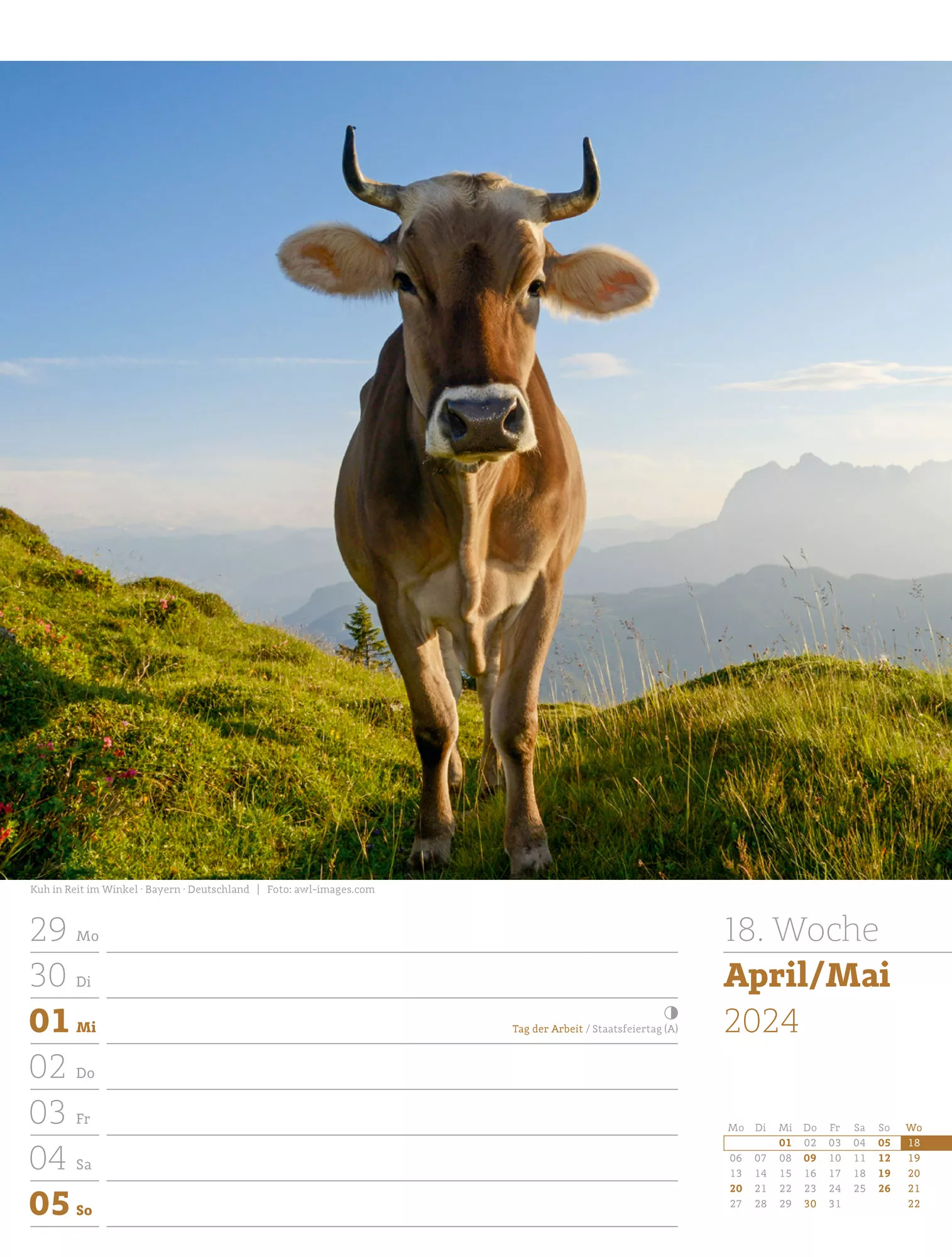 Ackermann Kalender Alpenwelt - Wochenplaner 2024 - Innenansicht 21