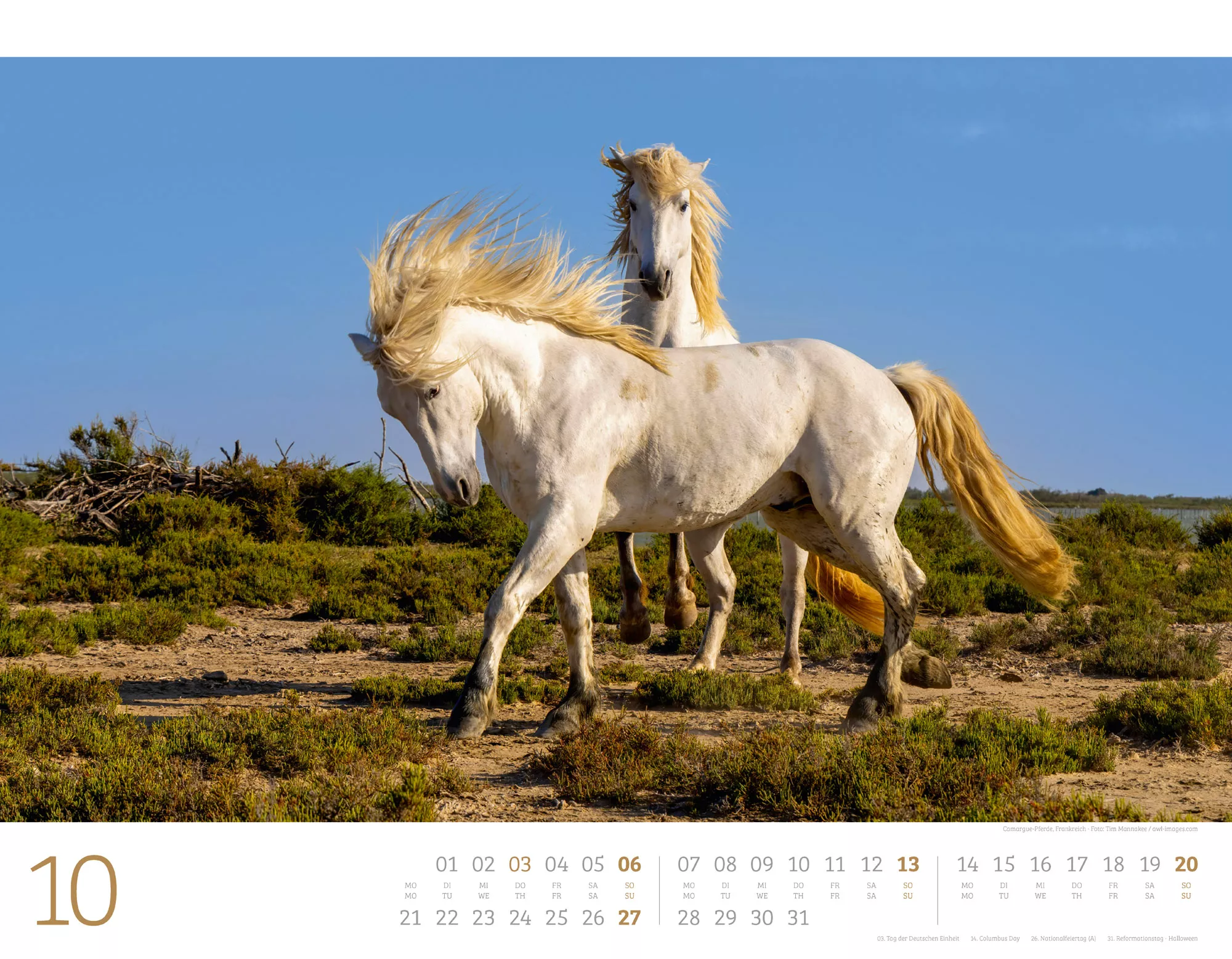 Ackermann Kalender Wilde Pferde 2024 - Innenansicht 10