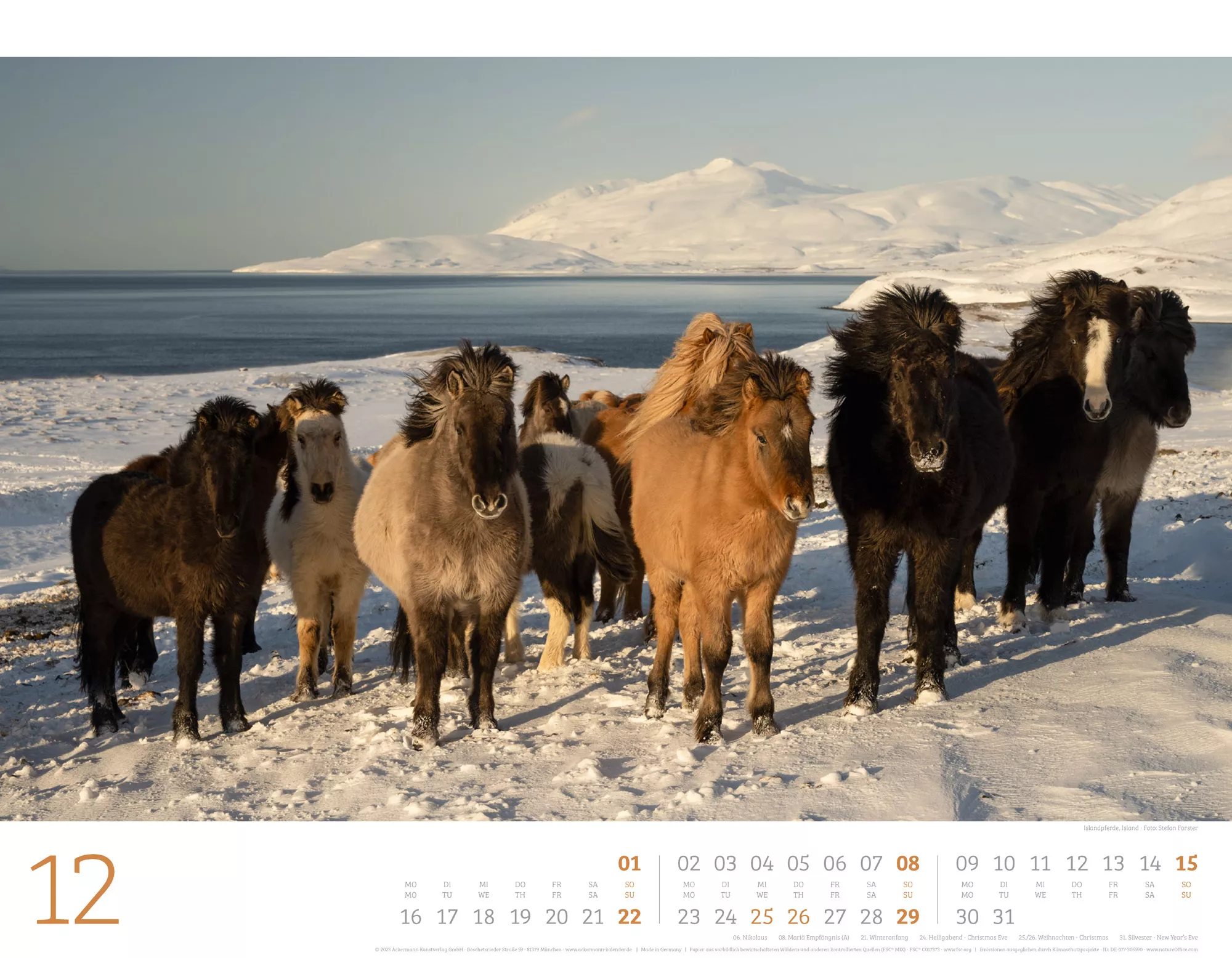 Ackermann Kalender Wilde Pferde 2024 - Innenansicht 12