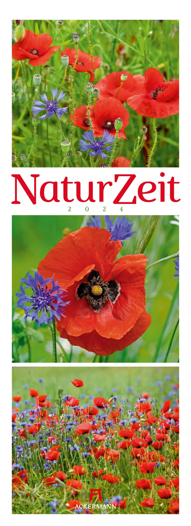 Ackermann Kalender NaturZeit 2024 - Titelblatt