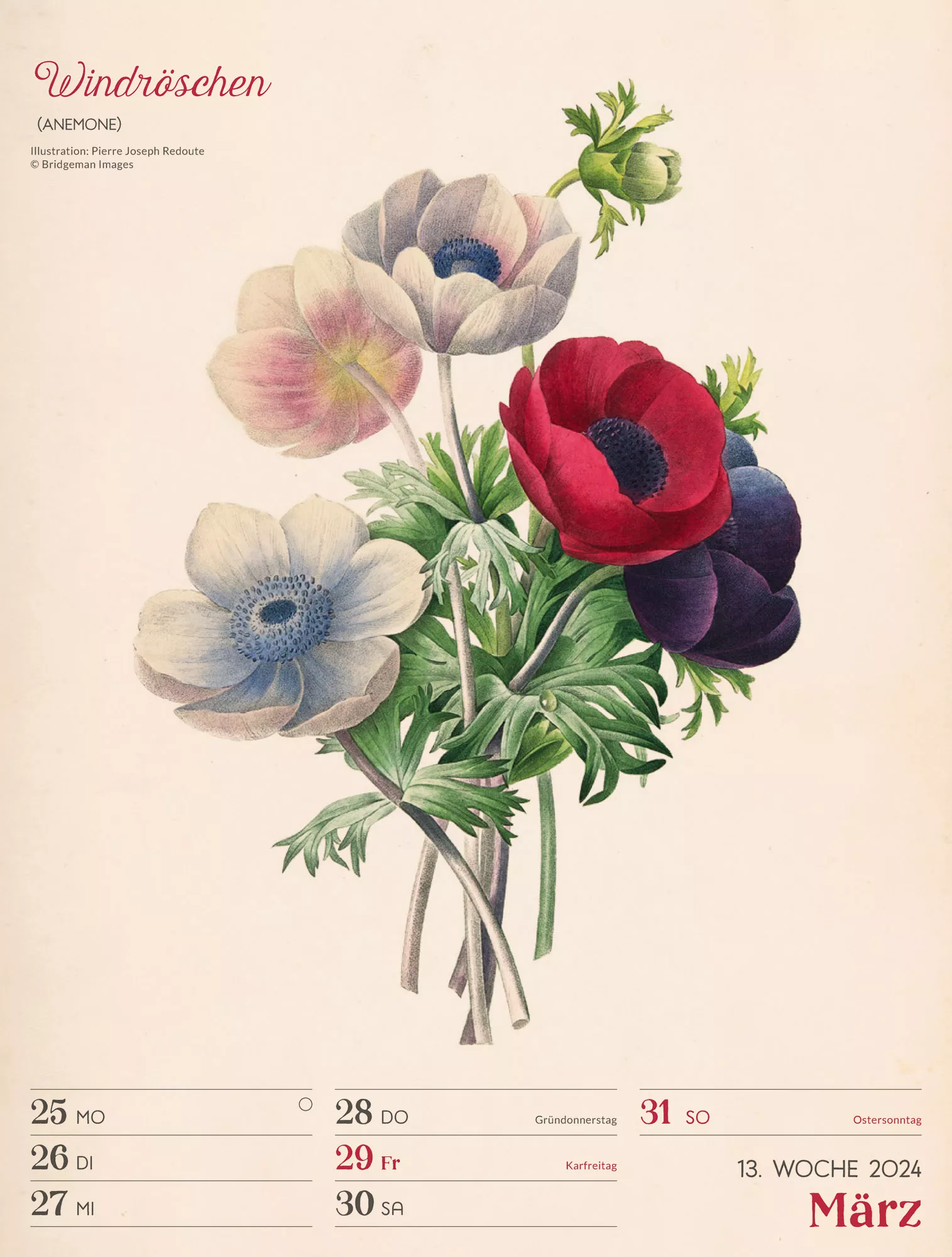 Ackermann Kalender Ars Floralis - Wochenplaner 2024 - Innenansicht 16