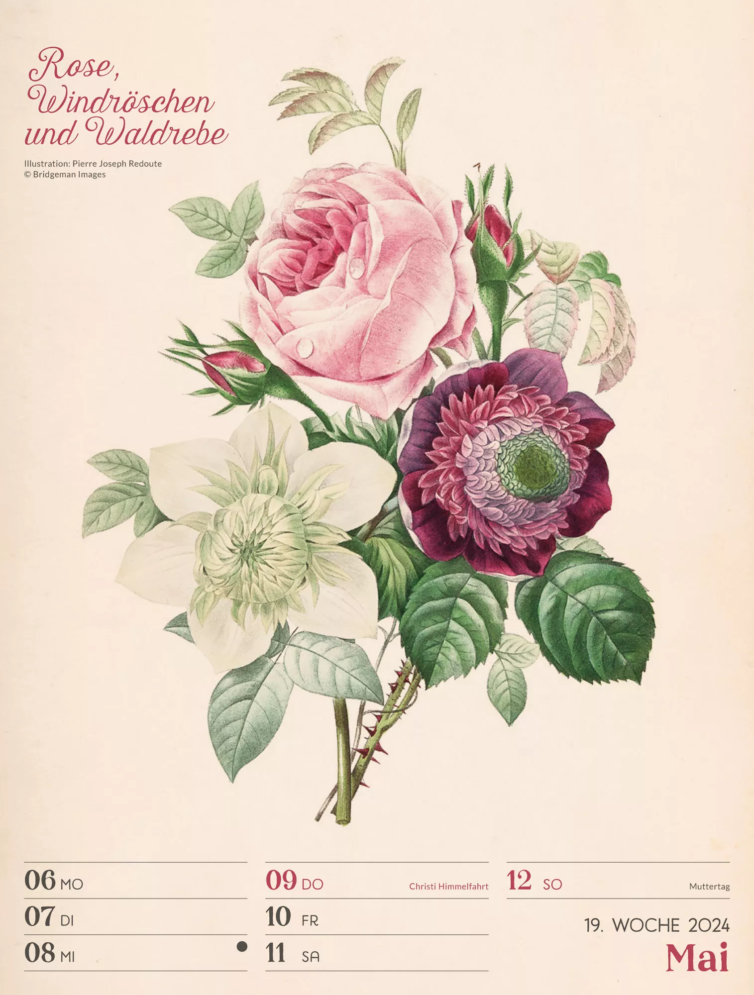 Ackermann Kalender Ars Floralis - Wochenplaner 2024 - Innenansicht 22