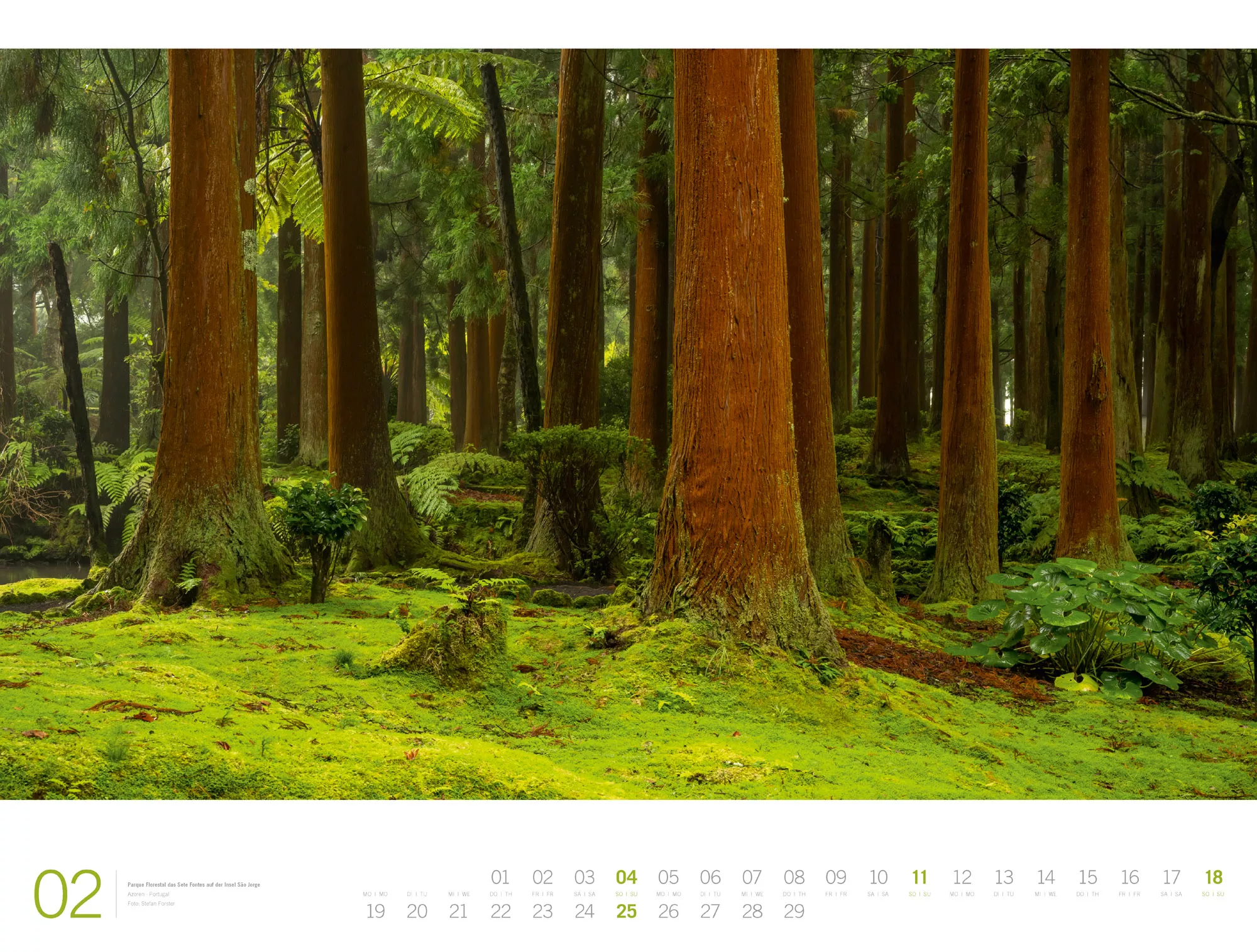 Ackermann Kalender Wald - Gallery 2024 - Innenansicht 02