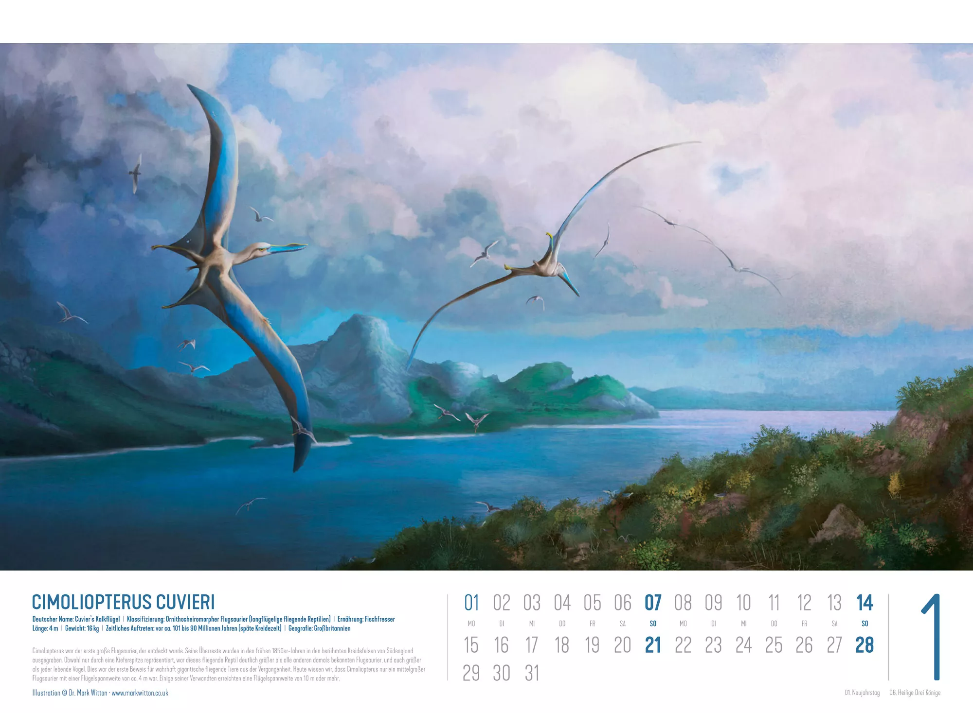 Ackermann Kalender Dinosaurier 2024 - Innenansicht 01