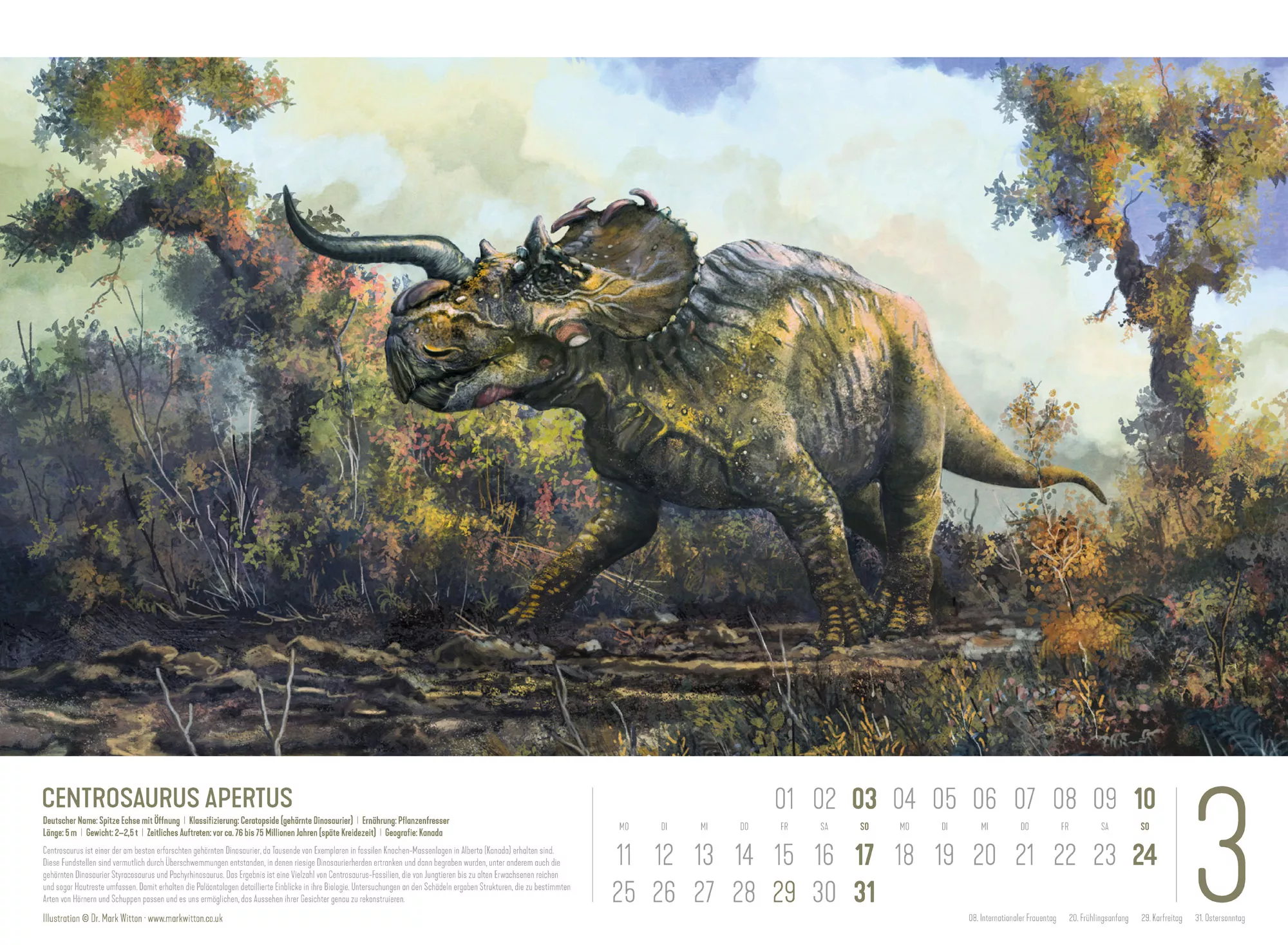 Ackermann Kalender Dinosaurier 2024 - Innenansicht 03