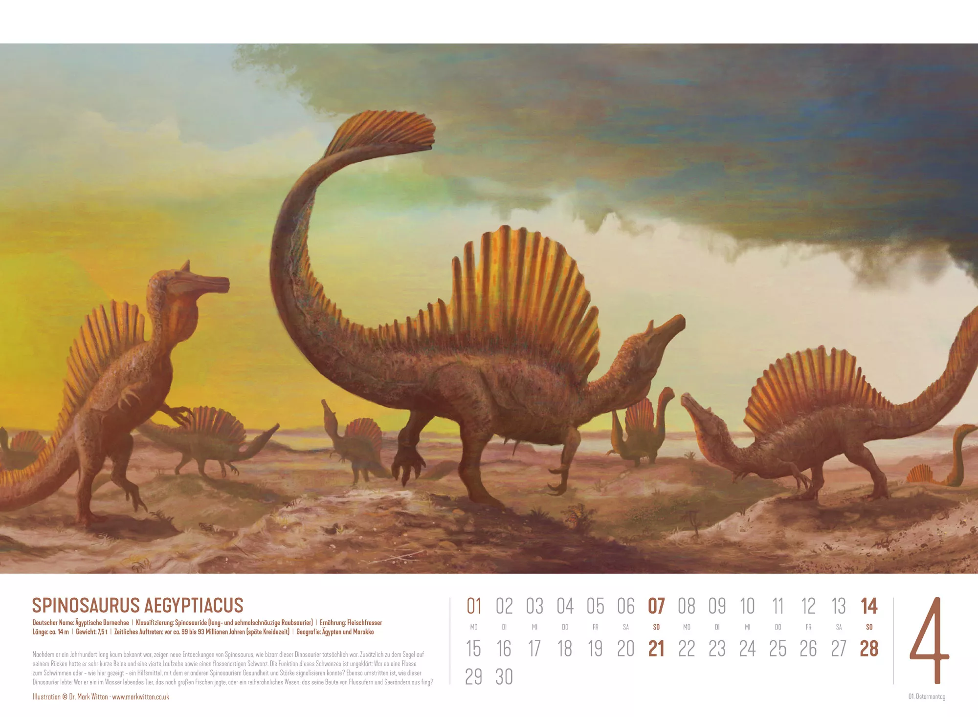 Ackermann Kalender Dinosaurier 2024 - Innenansicht 04