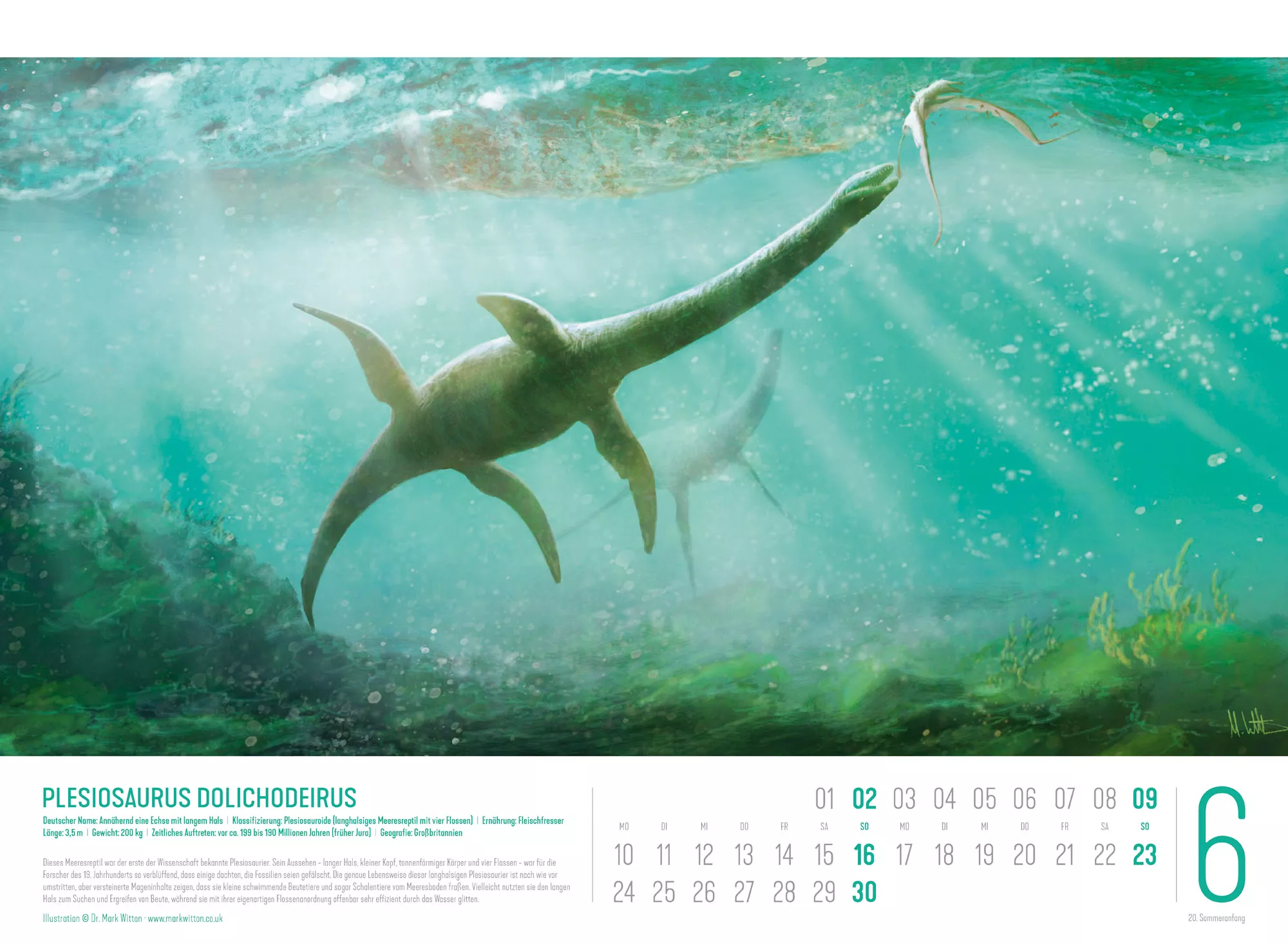 Ackermann Kalender Dinosaurier 2024 - Innenansicht 06