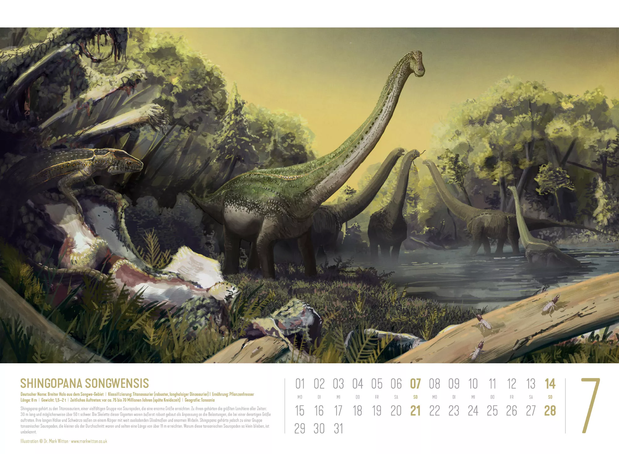 Ackermann Kalender Dinosaurier 2024 - Innenansicht 07