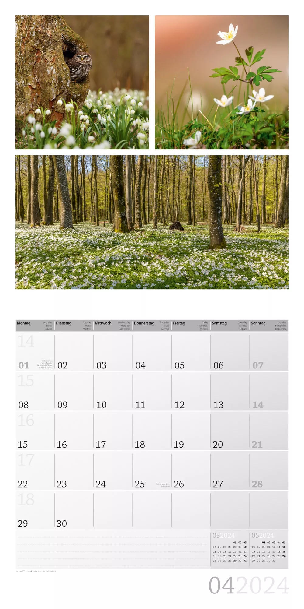 Art12 Collection Kalender Colours of Nature 2024 - 30x30 - Innenansicht 04